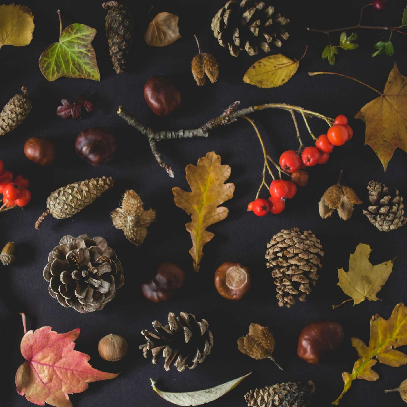 Coping With Holiday Depression and Anxiety: Real Strategies for Christmas and Beyond