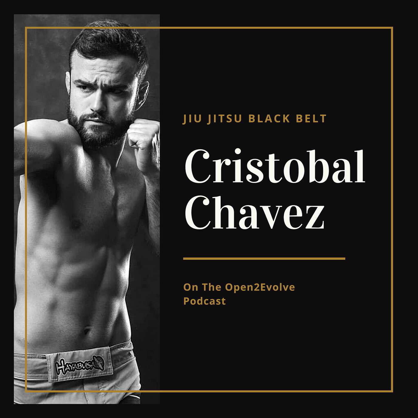 Open2Evolve Podcast