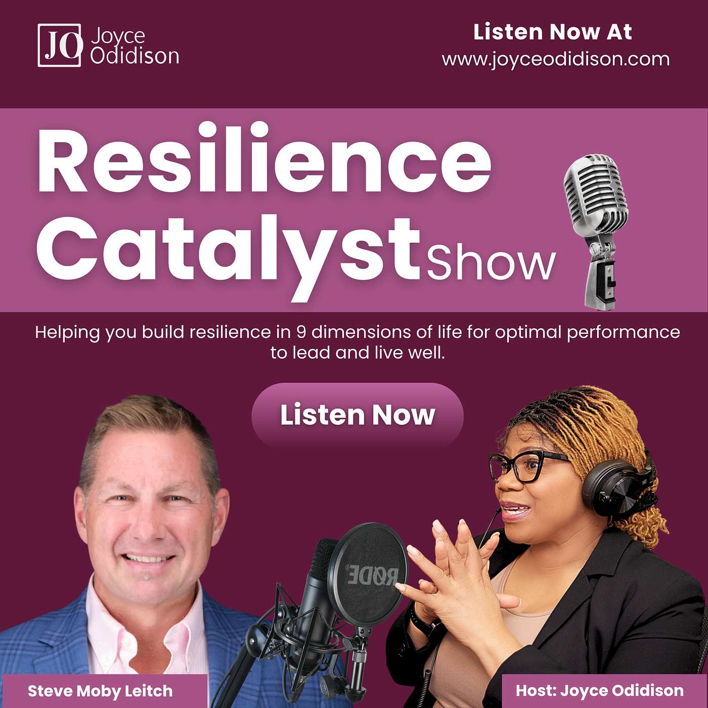Episode#33 - How to Rewire Your Life for Resilience: A 4-Pillar Framework with Steve Moby Leitch episode artwork