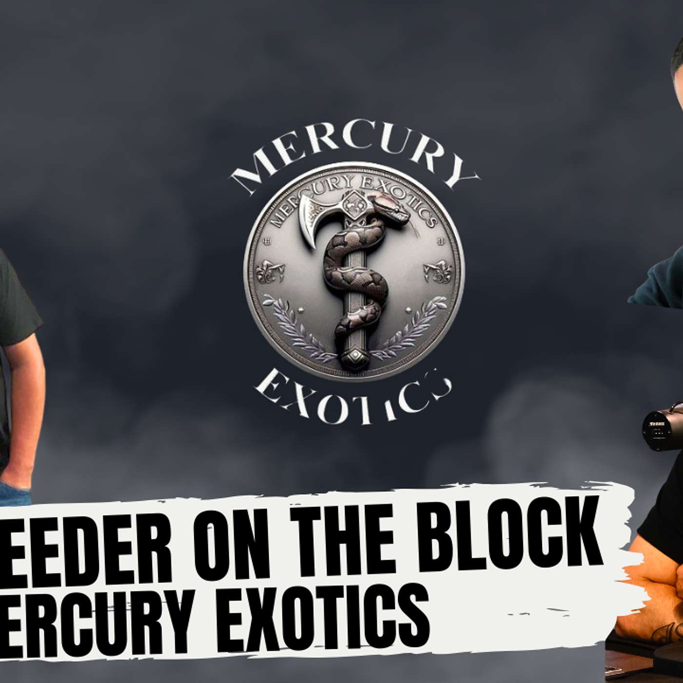 STANDING UP AGAINST BALL PYTHON BREEDING SCAMMERS | NEW BREEDER ON THE BLOCK LIVE