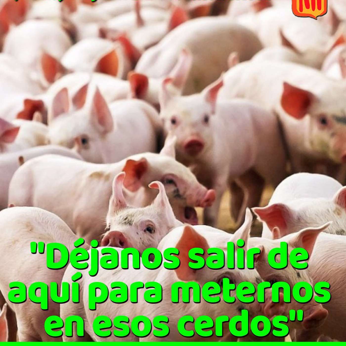 2024-01-29 San Marcos 5, 1-20 Lunes IV Tiempo Ordinario