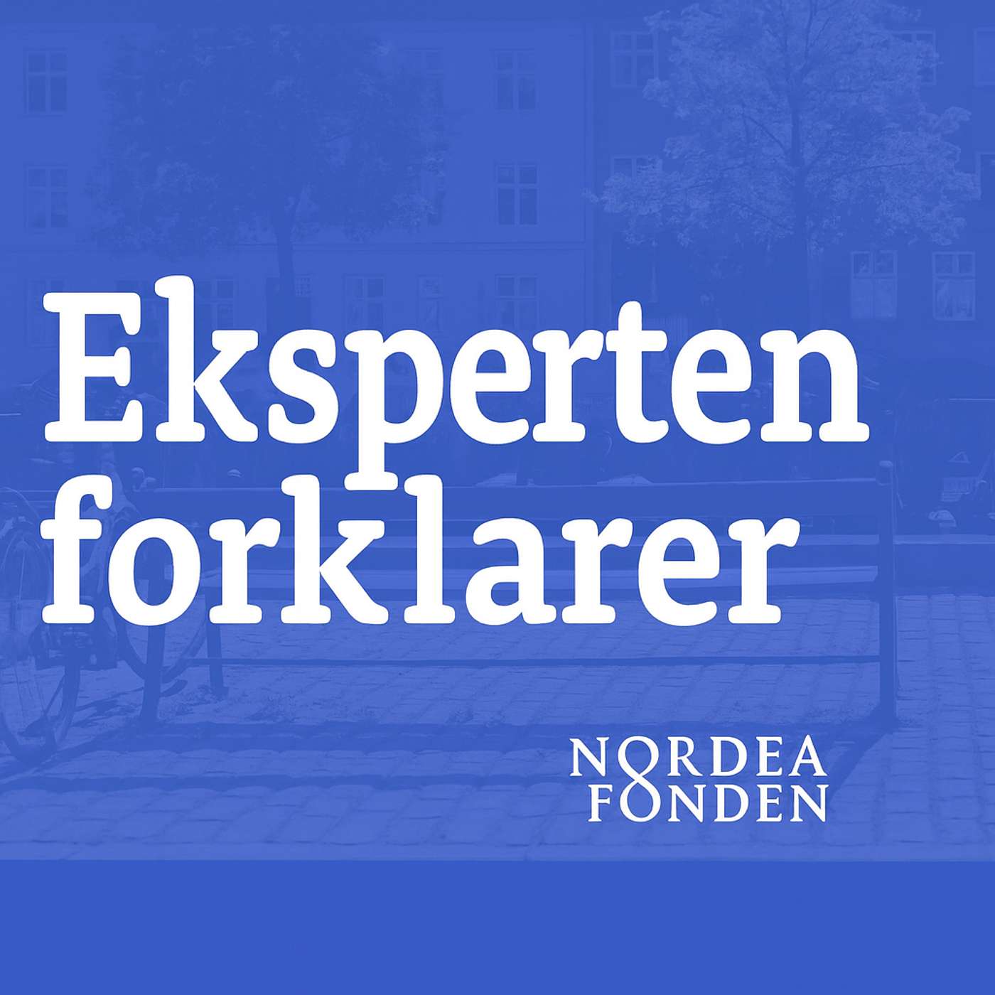 Eksperten forklarer