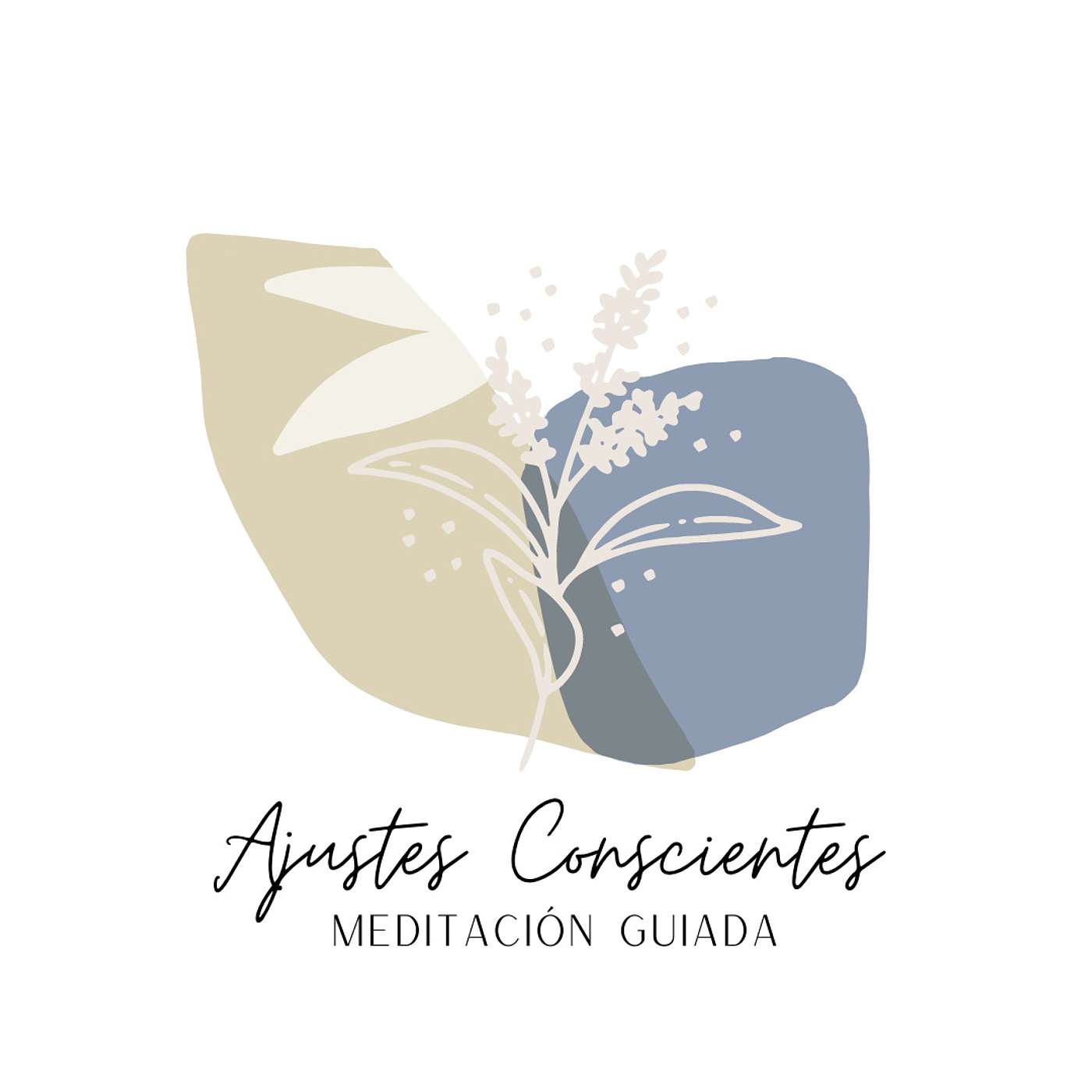 Ajustes Conscientes | Meditación Guiada Ajustes Conscientes | Meditación Guiada