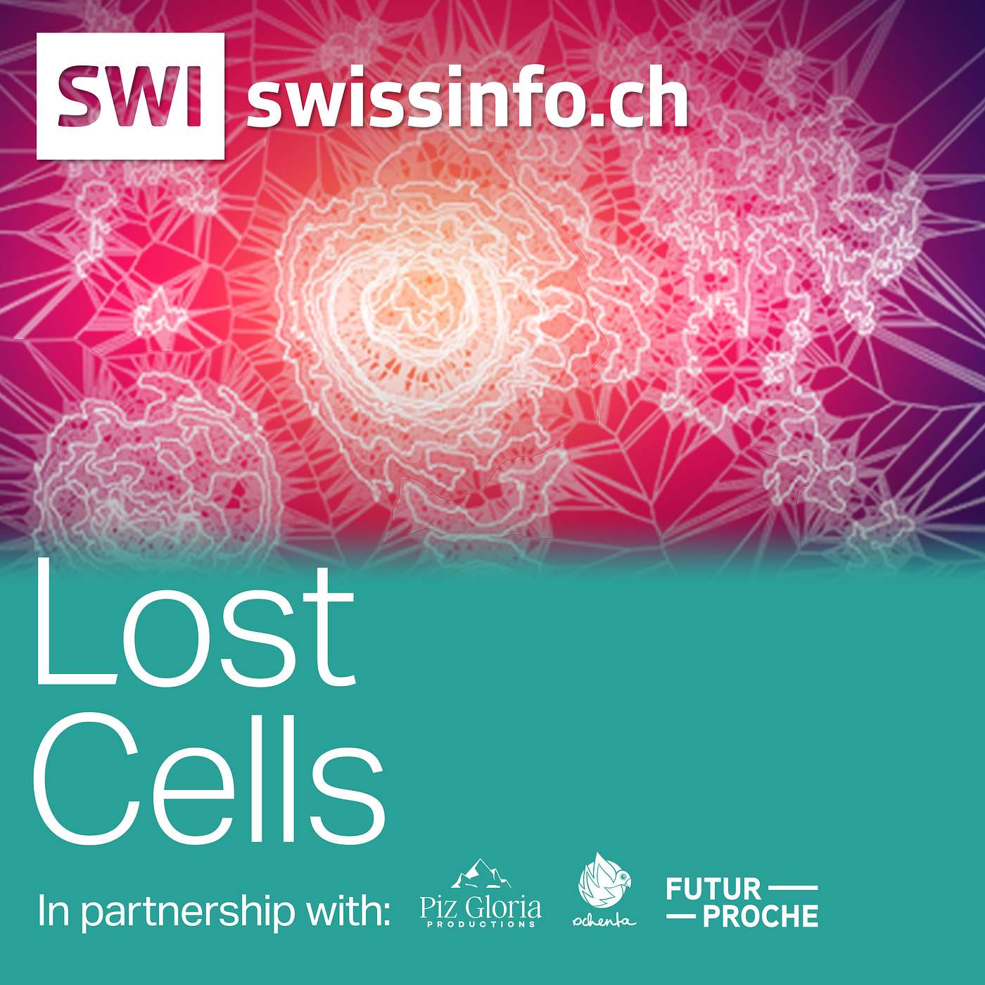 The Swiss Connection