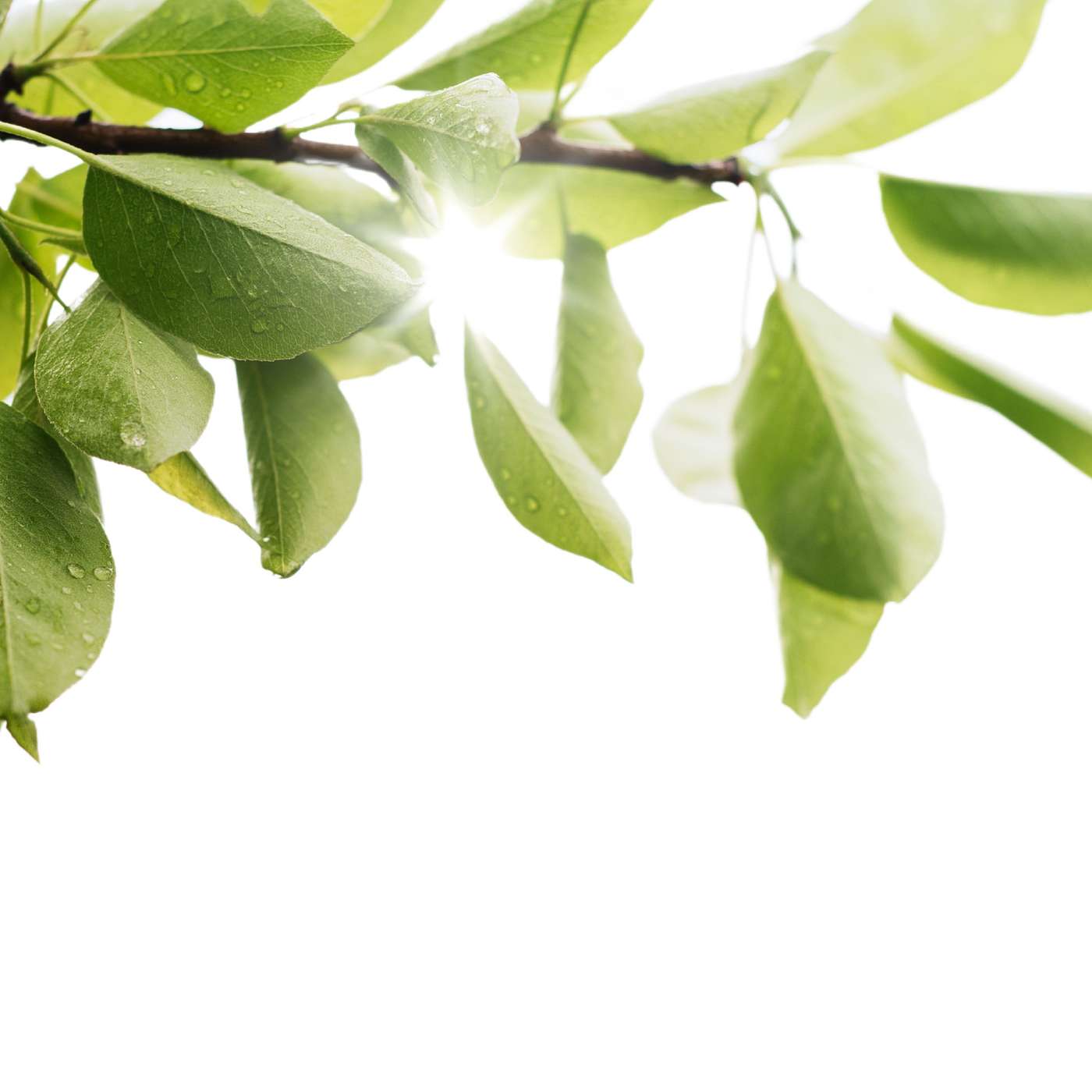 298. Embracing Sacred Scars: Finding Healing and Strength with Dr. Michelle Bengtson