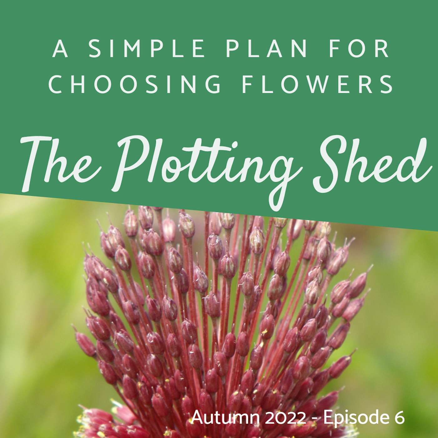 How to choose a garden colour scheme