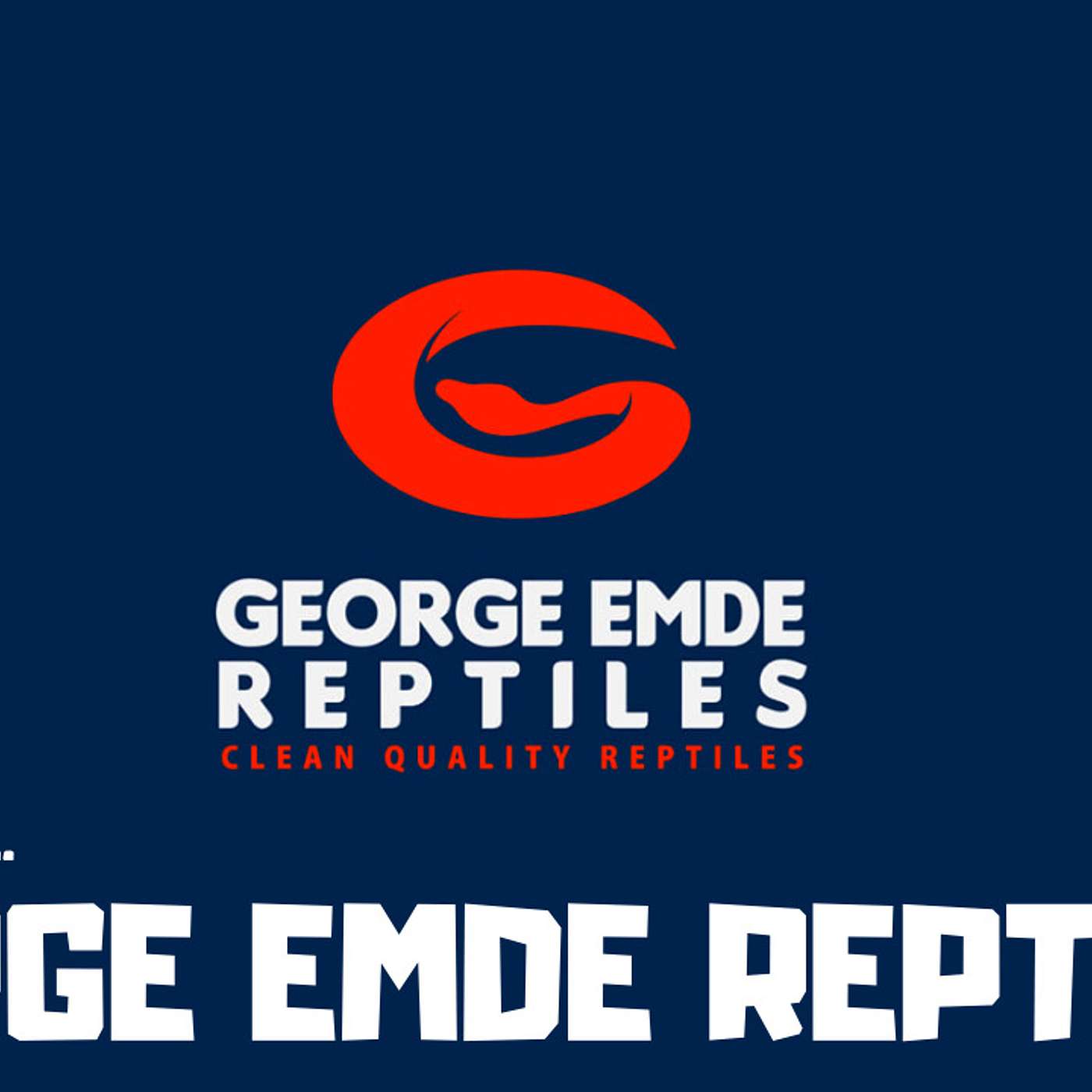 #119 GEORGE EDME REPTILES | BALL PYTHON BREEDER | TRAP TALK WITH MJ PODCAST