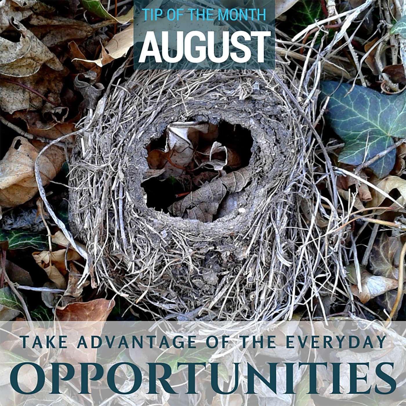 Take Advantage  {Homeschool Science Tip of the Month August 2016} episode artwork