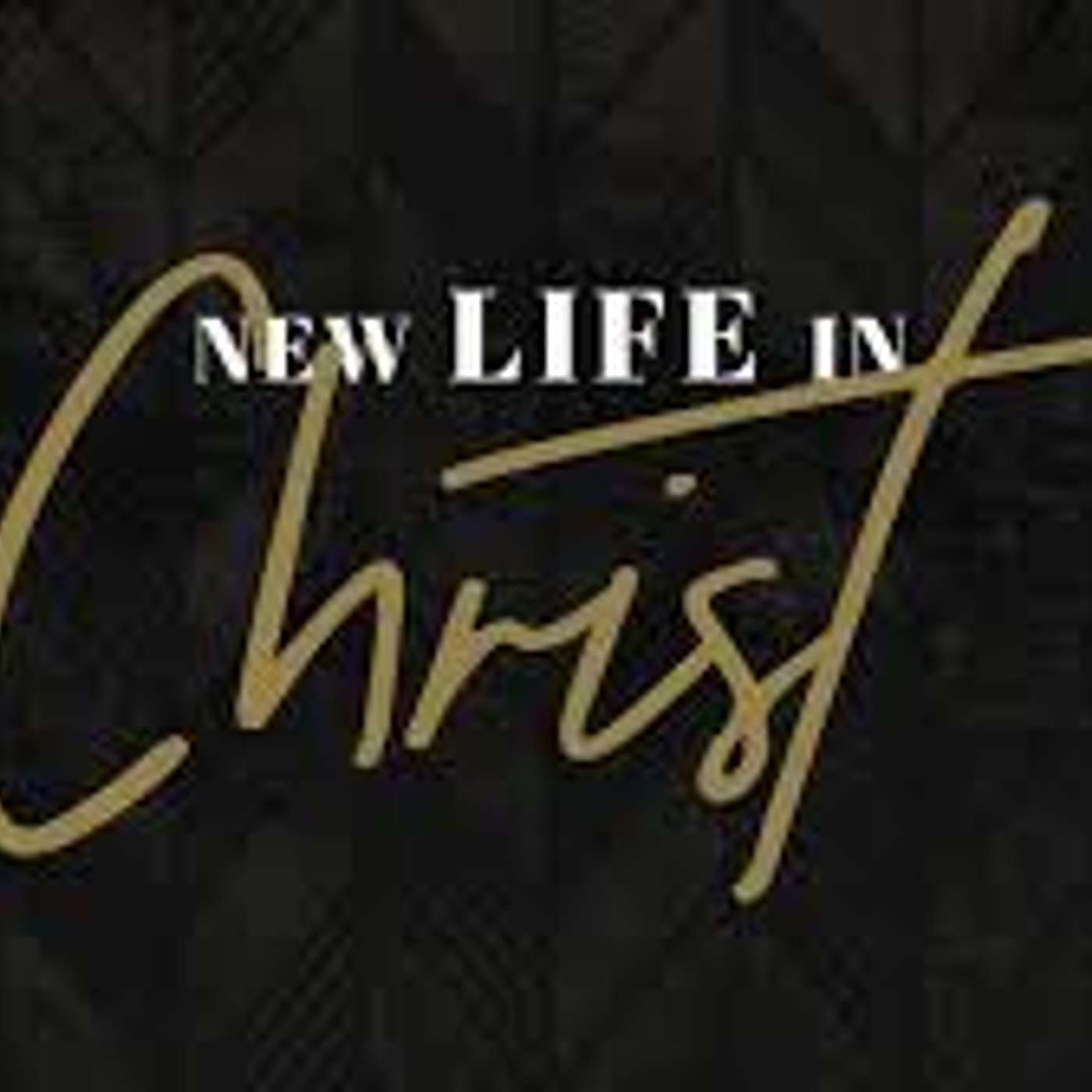 Our New Life in Christ