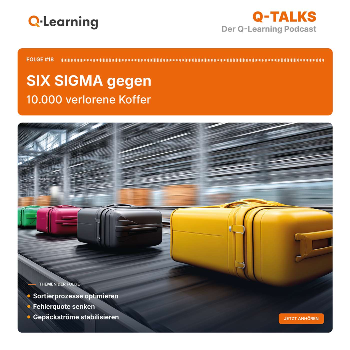 Six Sigma gegen 10.000 verlorene Koffer episode artwork