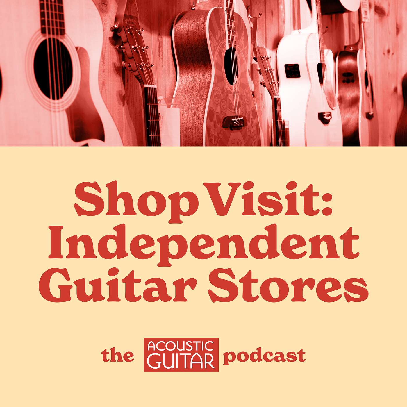 Shop Visit: Independent Guitar Stores