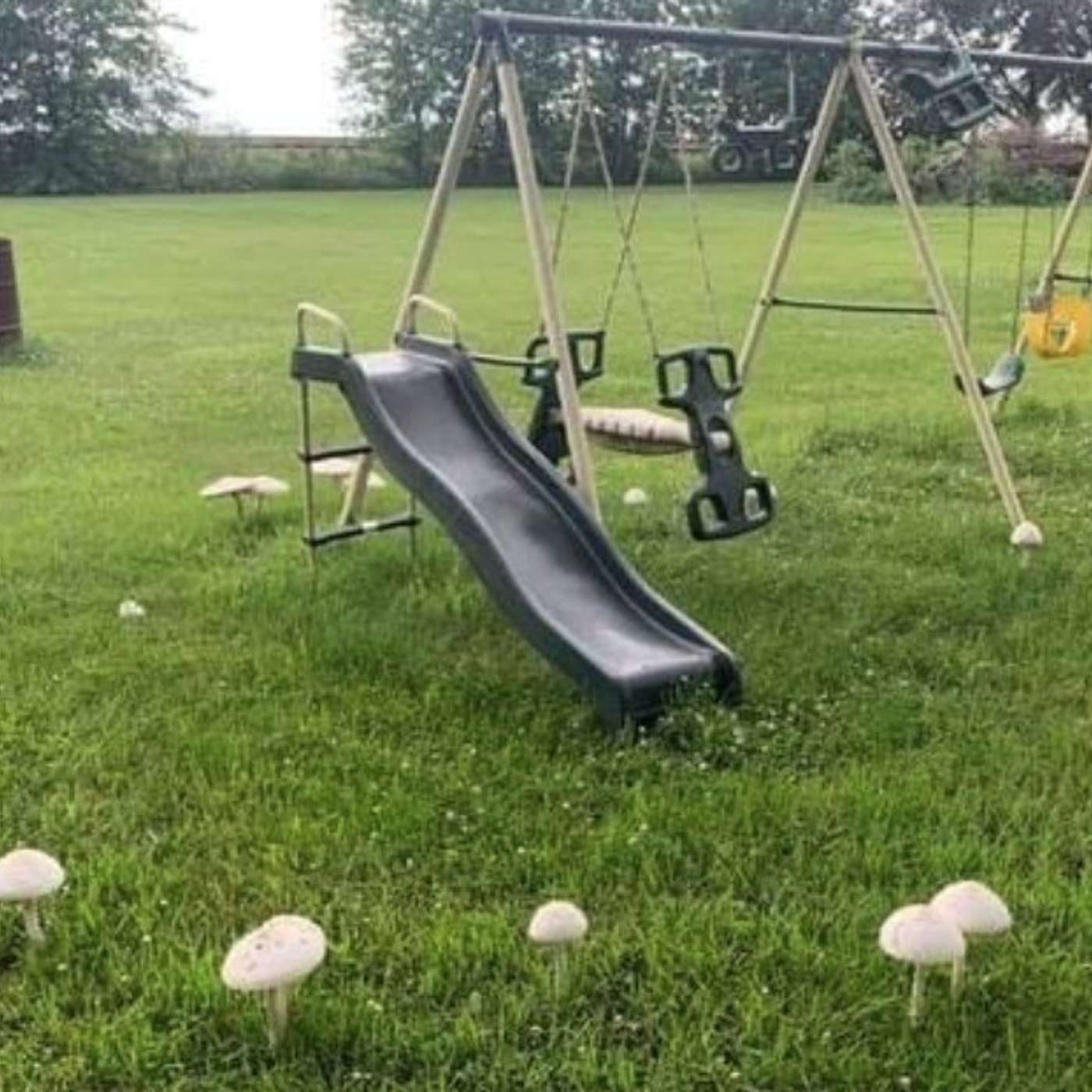 Fairy Ring and Bellaire House