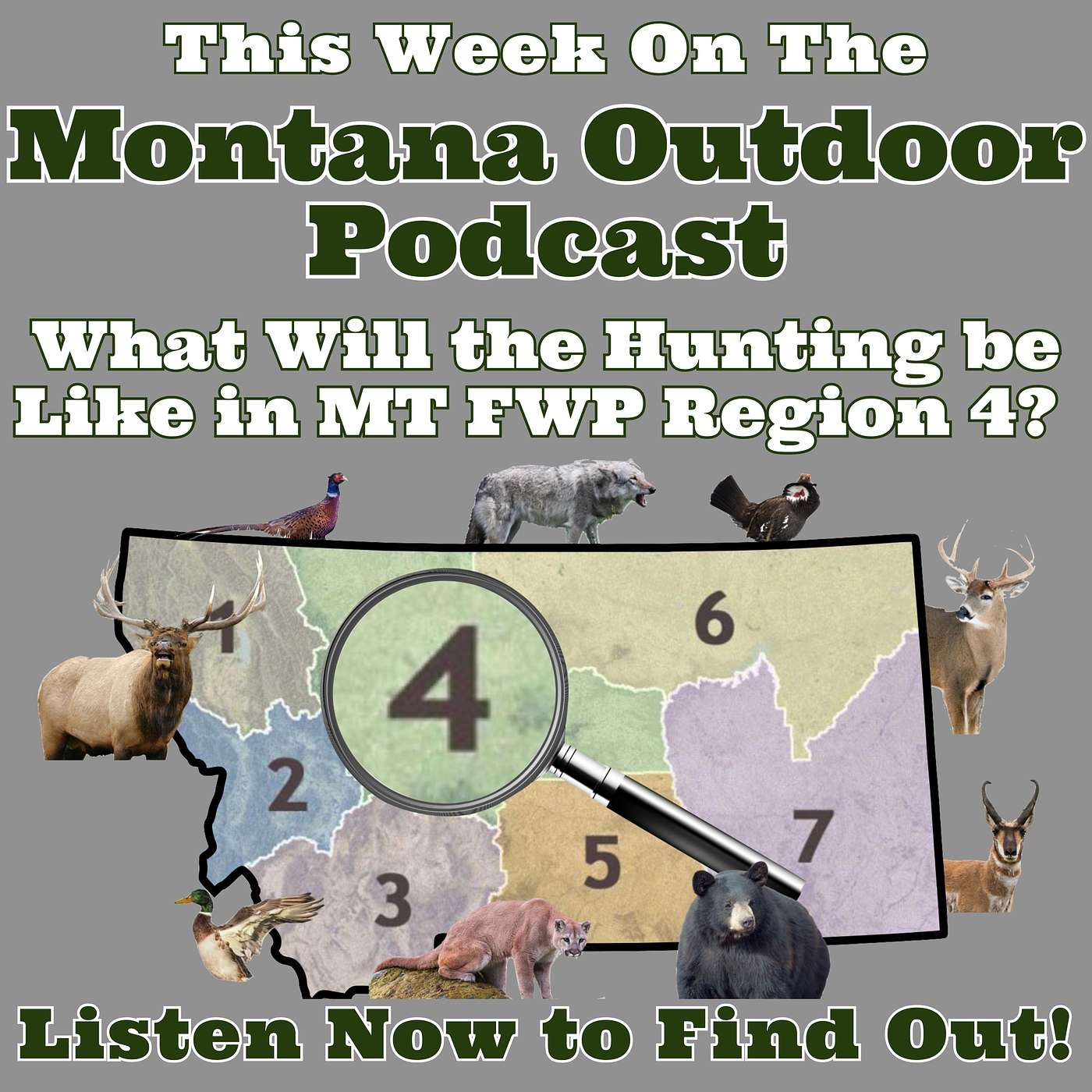 What Will the Hunting be Like in FWP Region 4 in North Central Montana? This Podcast Has the Answers!