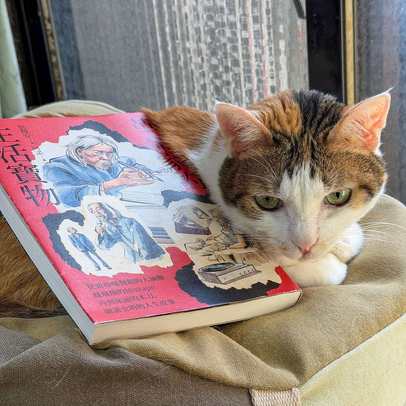 【書中自有黃金鮑EP117】《革命家的生活寶物》：電視、成藥，與平凡的不平凡