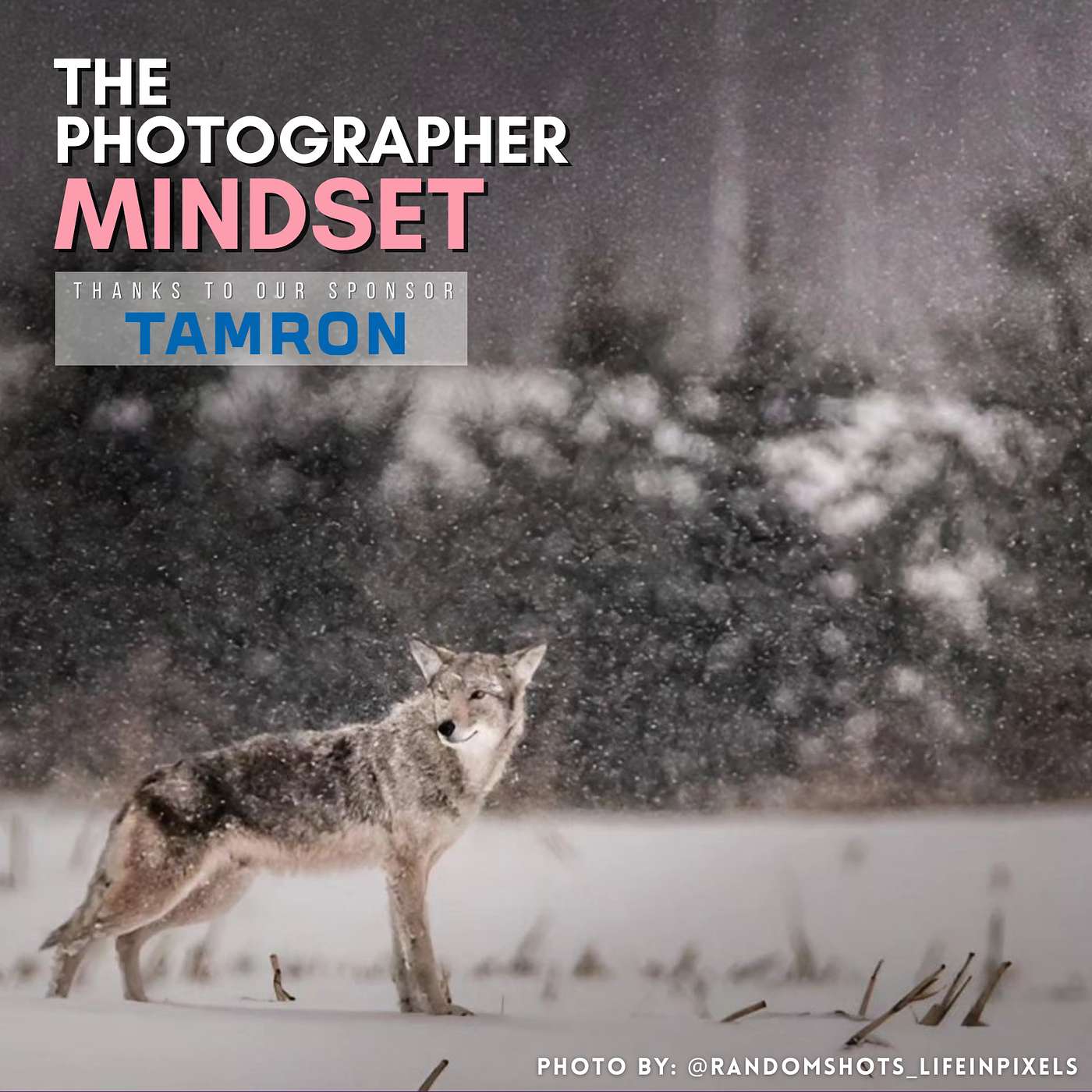 How to Handle Being Ghosted as a Photographer & Marketing Yourself as a Versatile Photographer