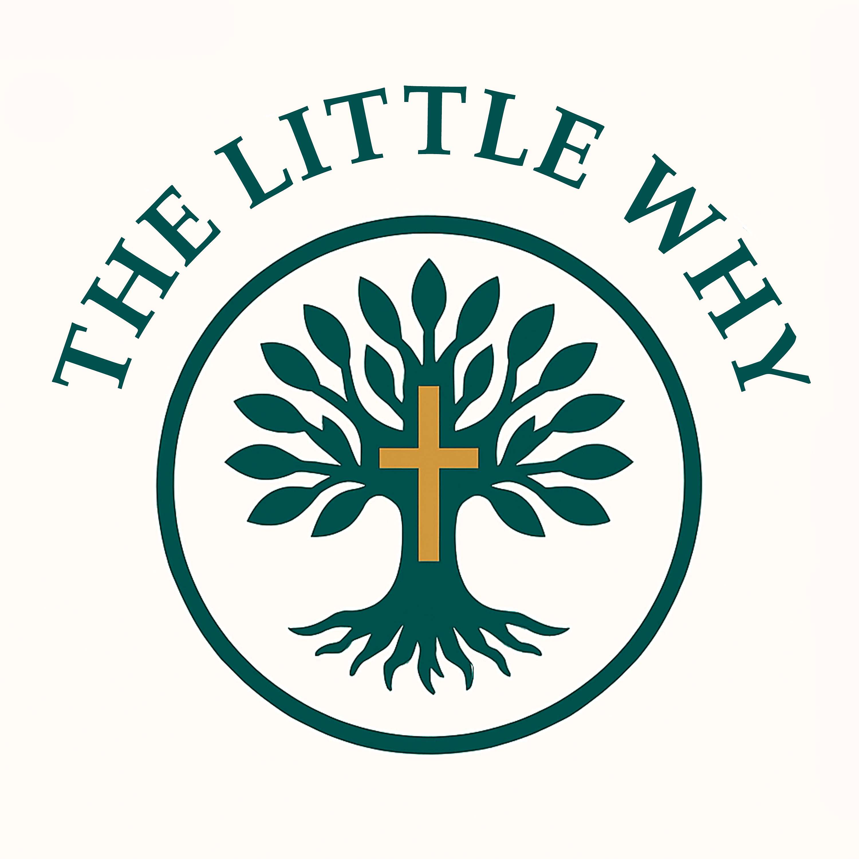 The Little Why