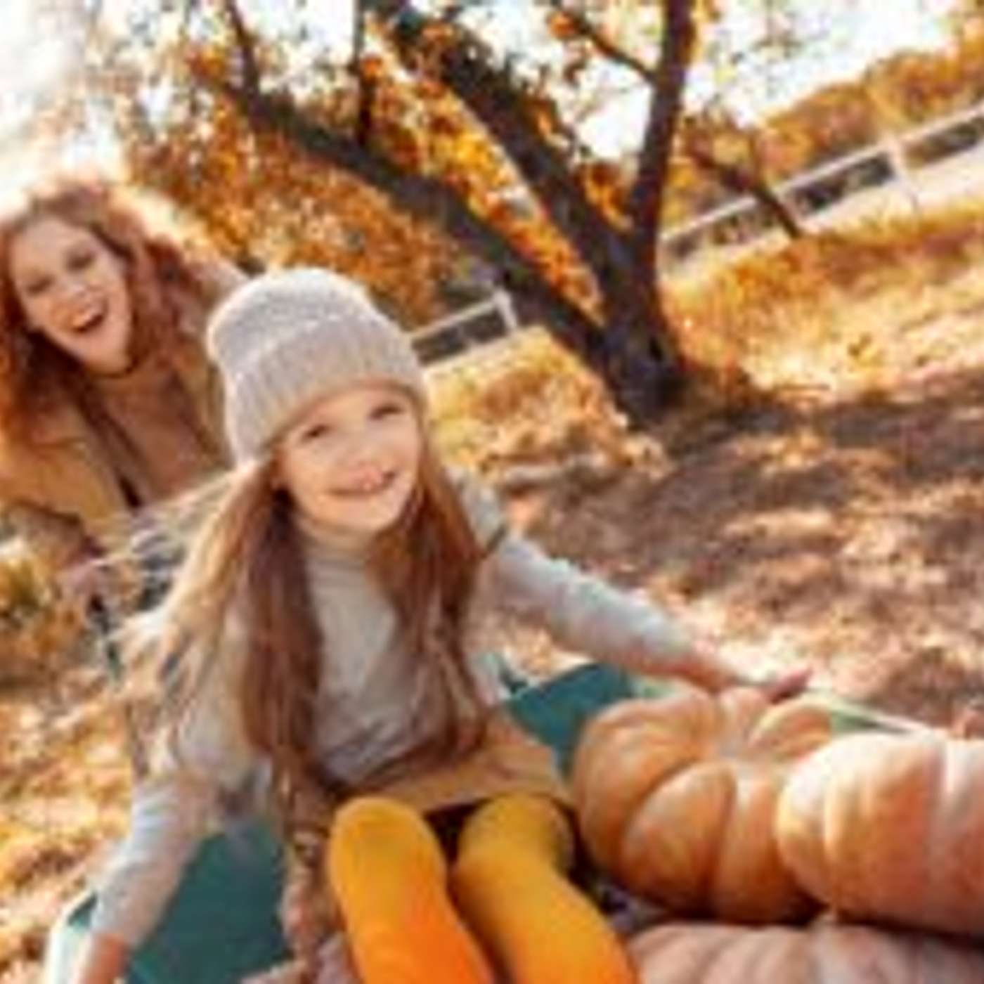 Sedona Seeks Vendors and Sponsors for WagFest and Fest of Fall episode artwork