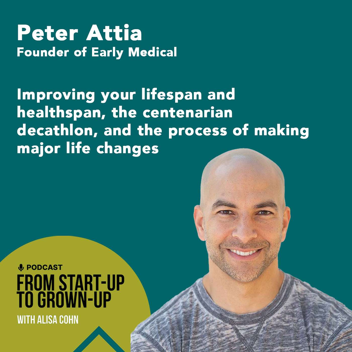 From Start-Up to Grown-Up