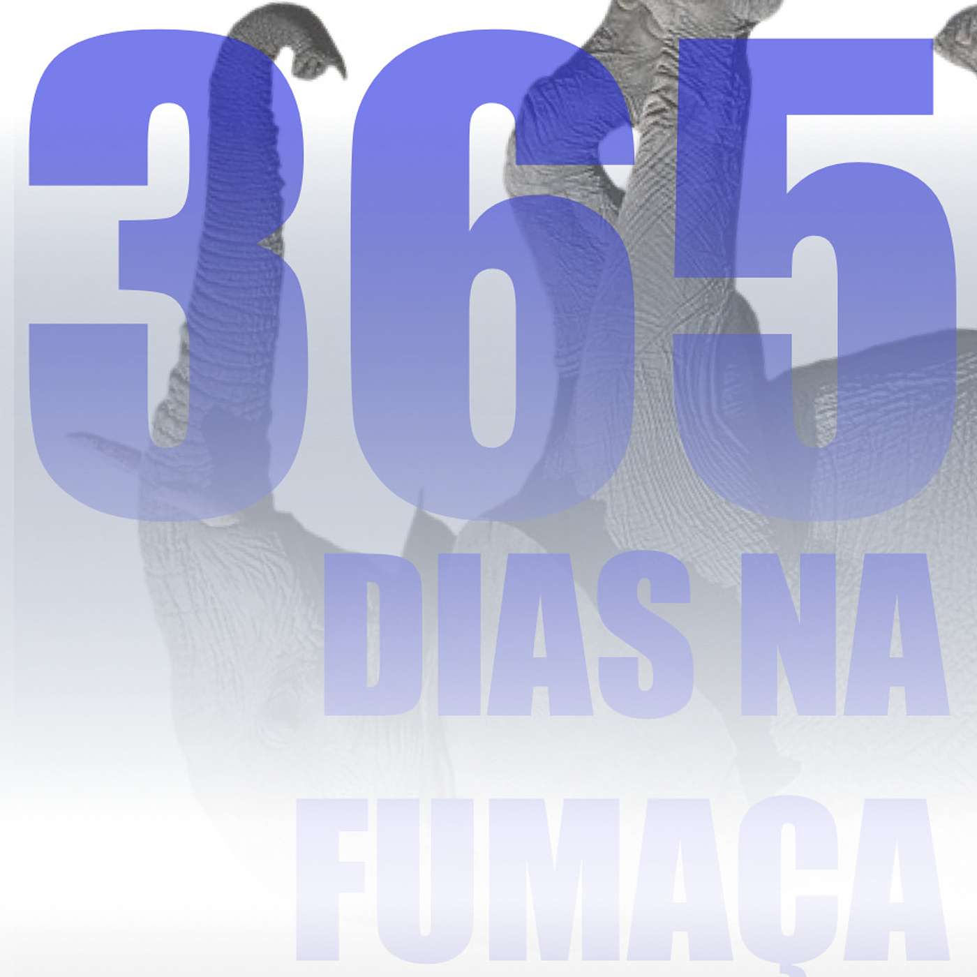 Elefantes na Neblina