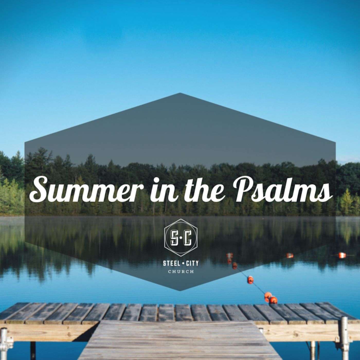 You are not Alone, Psalm 22; July 10th, 2016 episode artwork