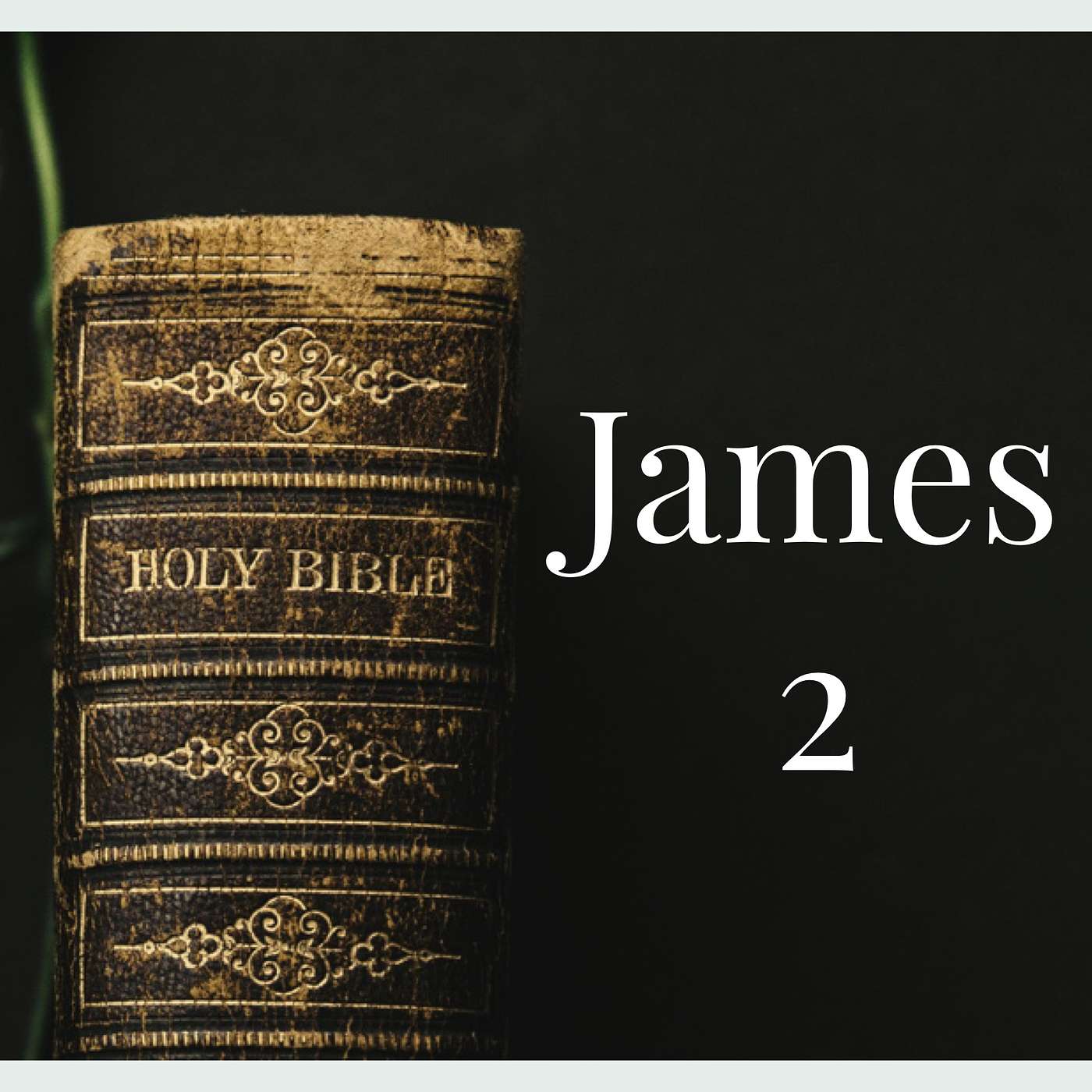 The Book of James-Week 2