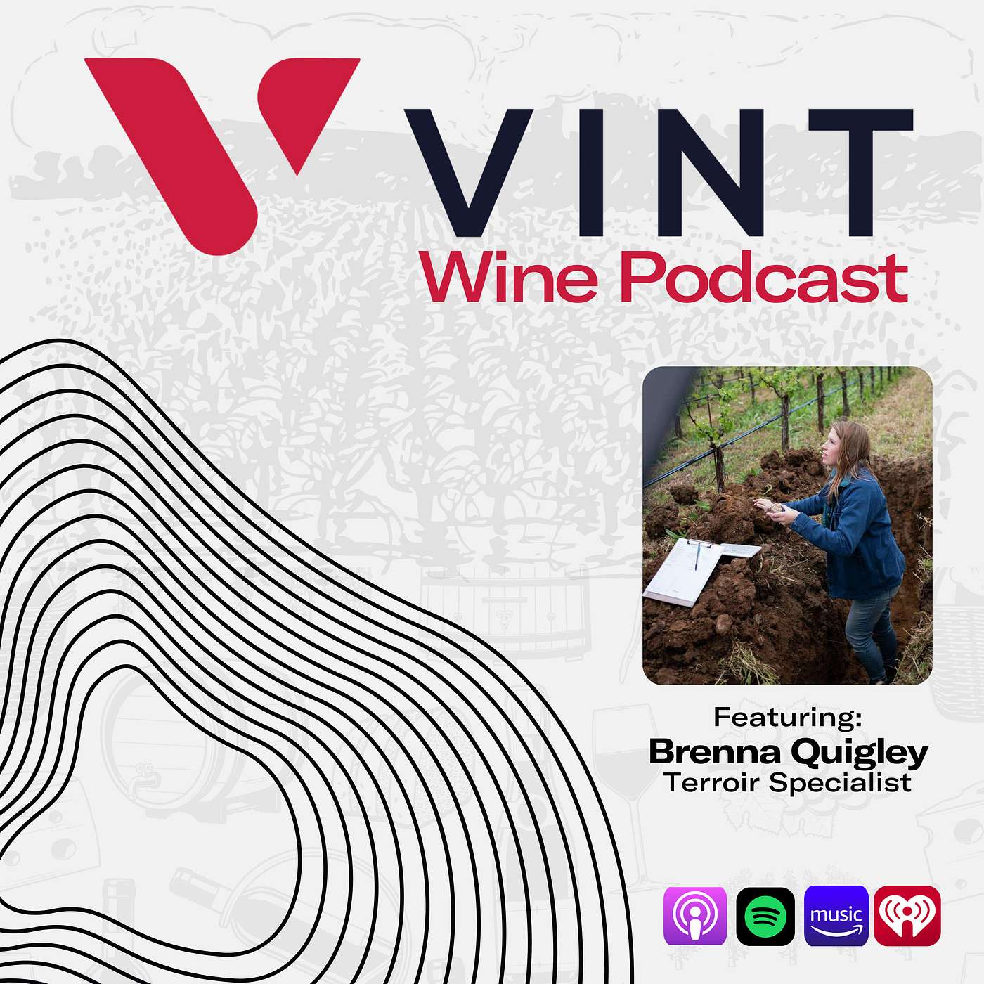 Vint Wine Podcast