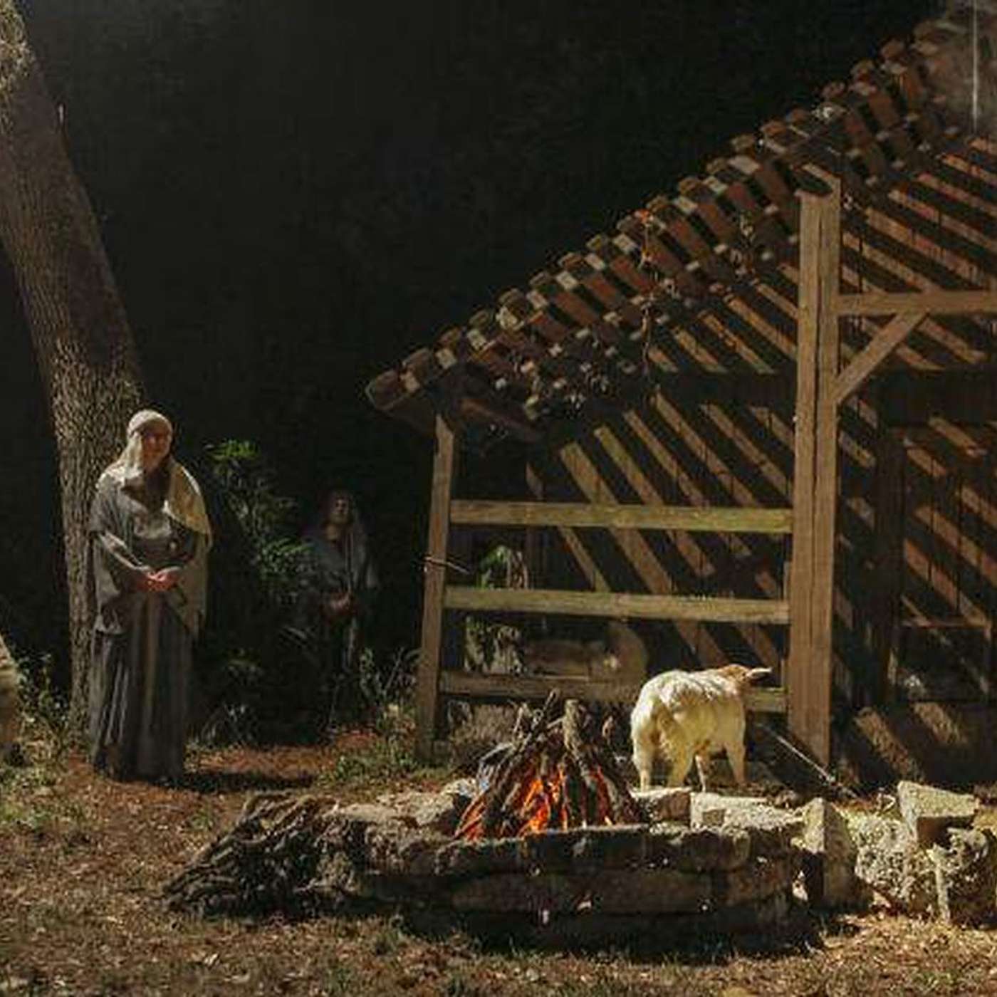 If Jesus Had Never Been Born - 1 Corinthians 15:1-18