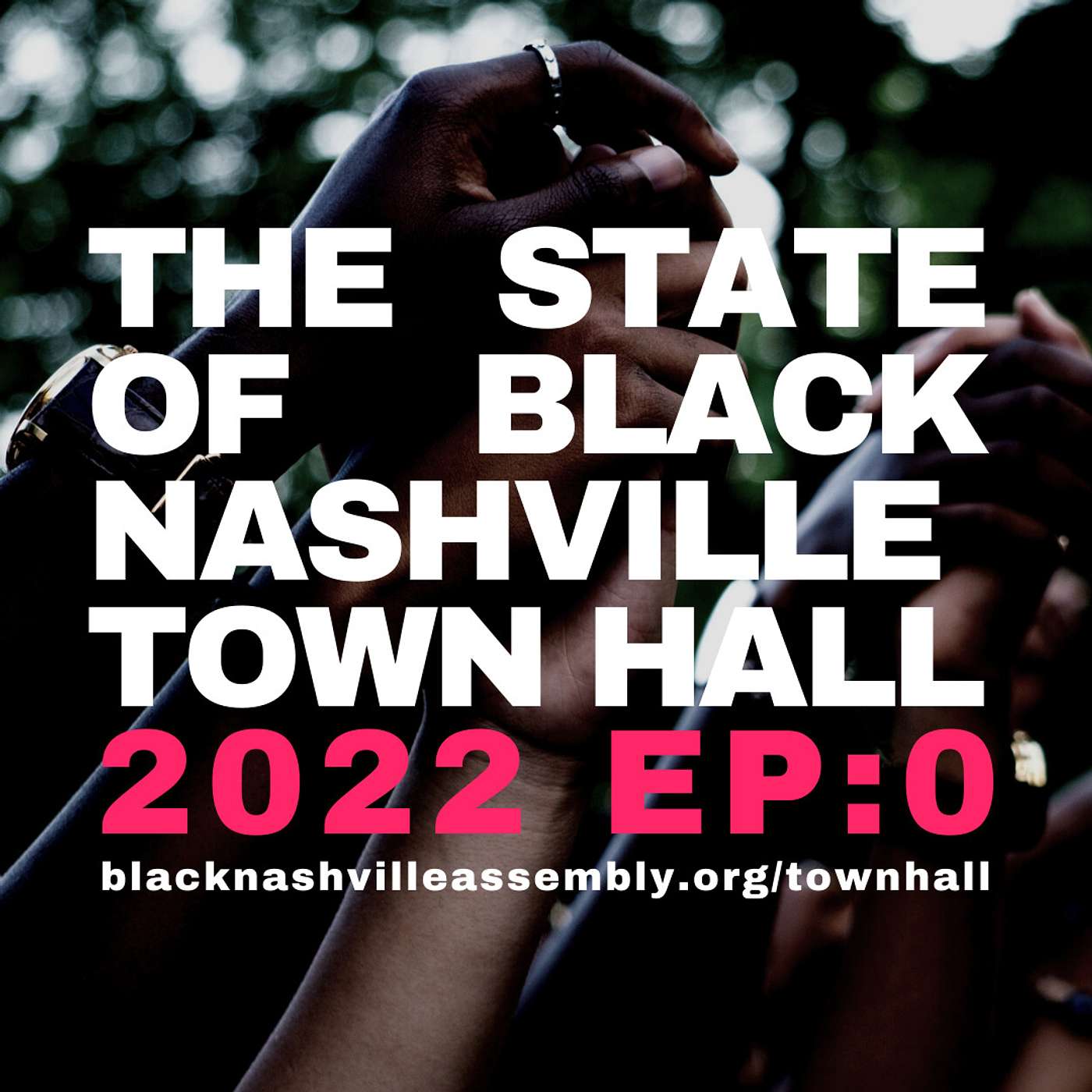 Get The Goods presented by The Southern Movement Committee