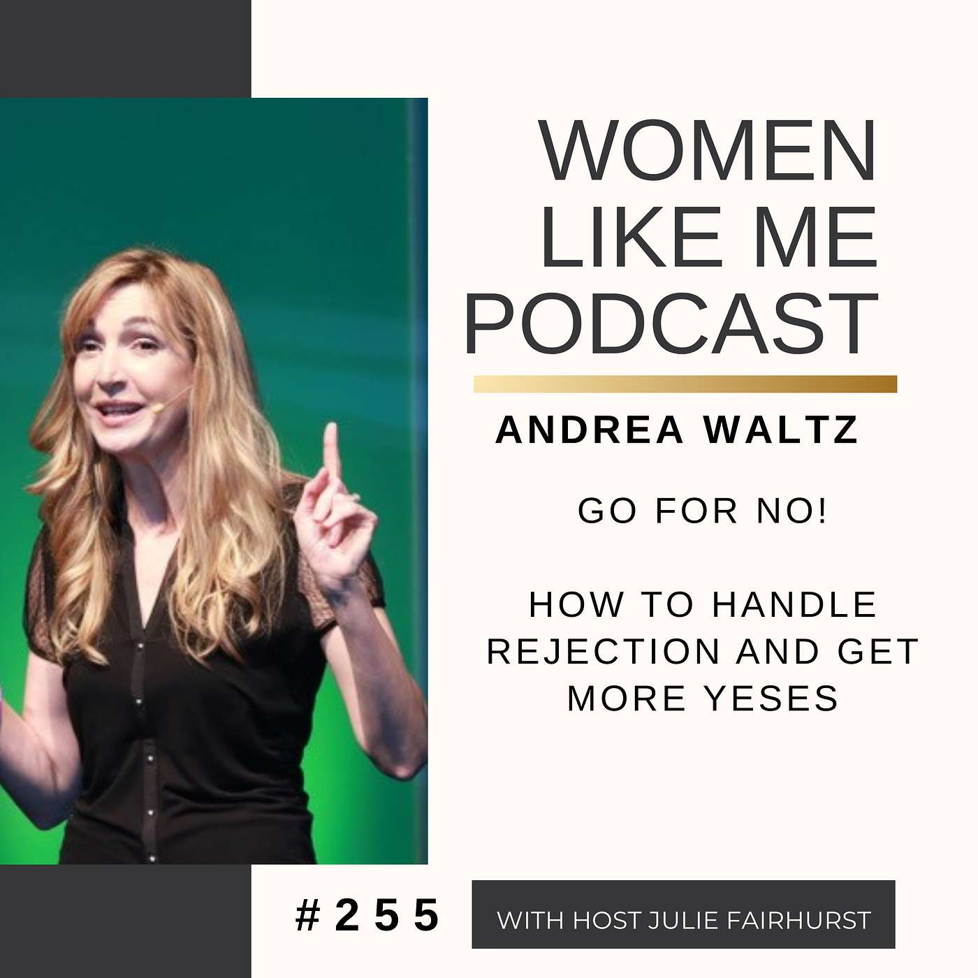 How to Handle Rejection and Get More Yeses | Andrea Waltz, Go for No! episode artwork