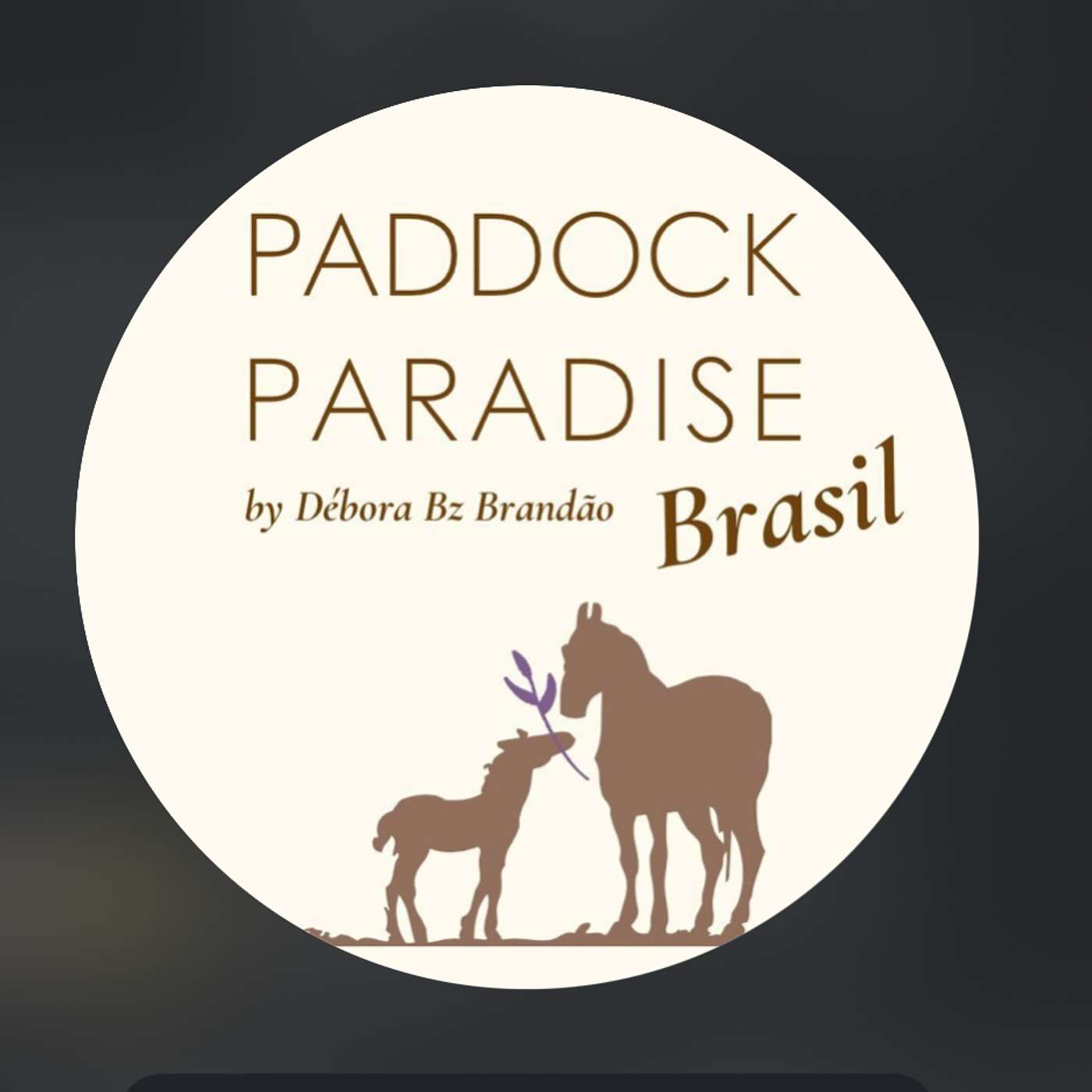 Track Talk : A Podcast on Horse Track Systems - #21 Interview with Debora Brandao