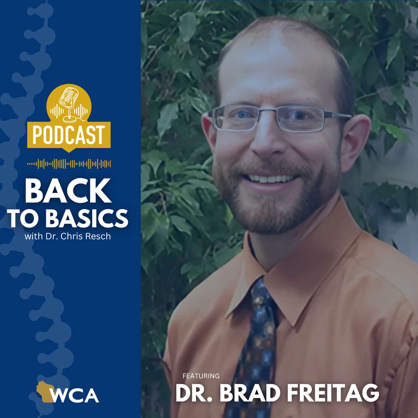 Dr. Brad Freitag: Launching an independent practice right out of school episode artwork