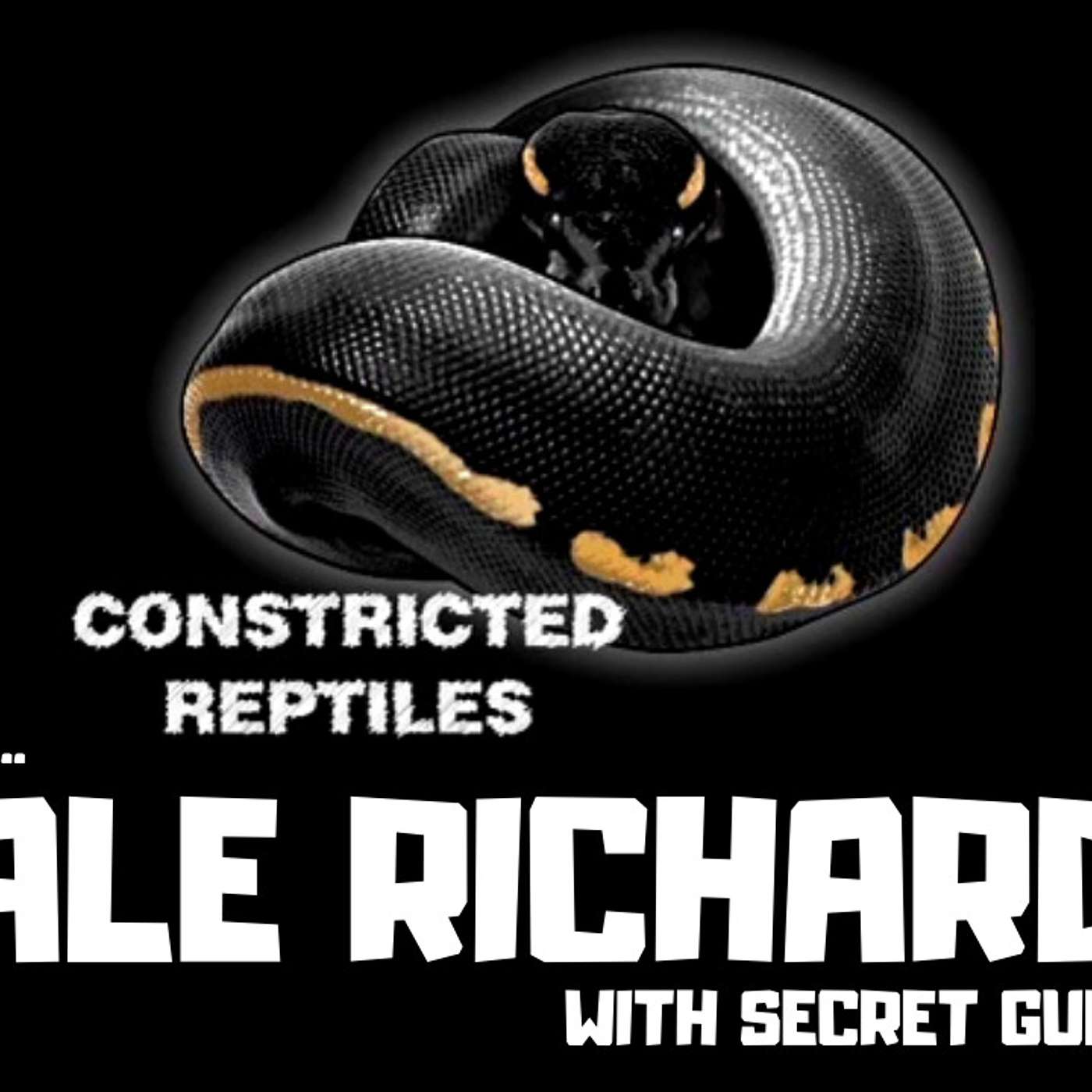 #97 DALE RICHARDS OF CONSTRICTED REPTILES W/ SECRET GUEST | BALL PYTHONS | TRAP TALK WITH MJ