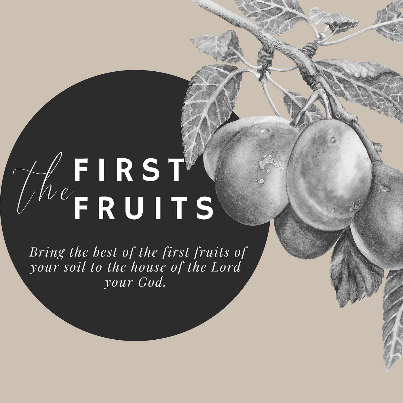 First Fruits | Temptation & Scripture episode artwork