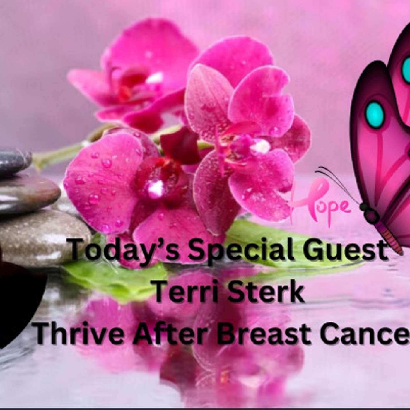 Terri Sterk Interview Breast Cancer Thriver, Author & Speaker