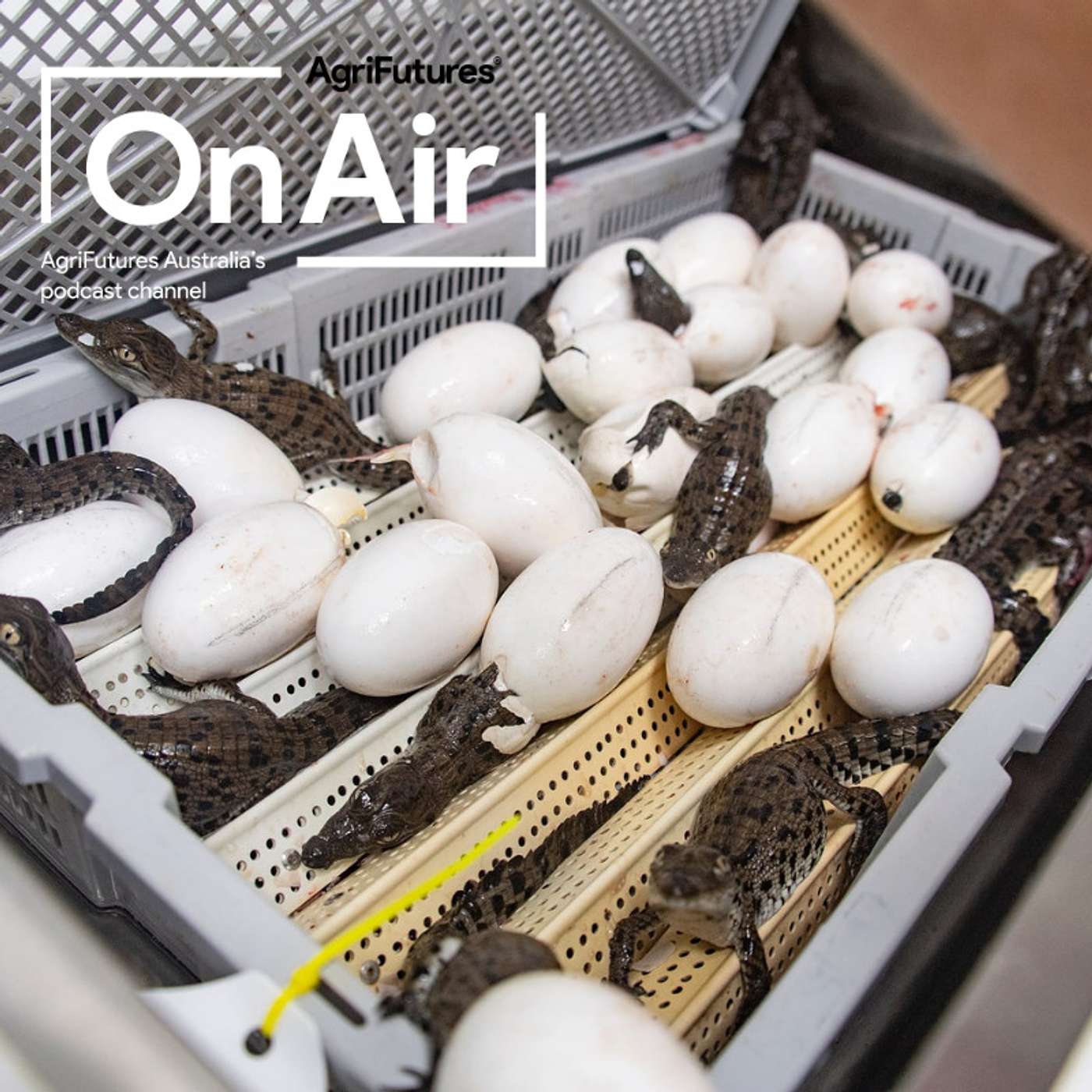 AgriFutures On Air