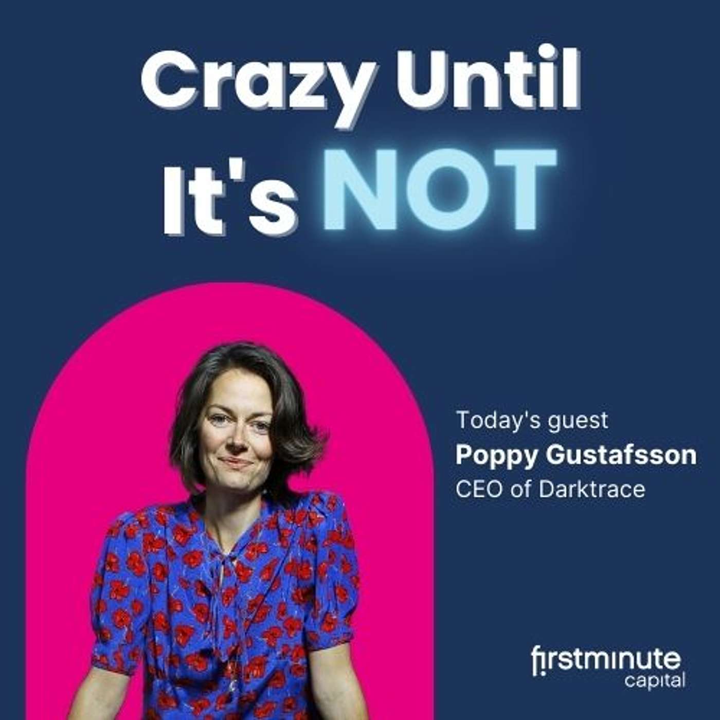 Crazy Until It\'s Not: Startups, Venture Capital & Big Ideas