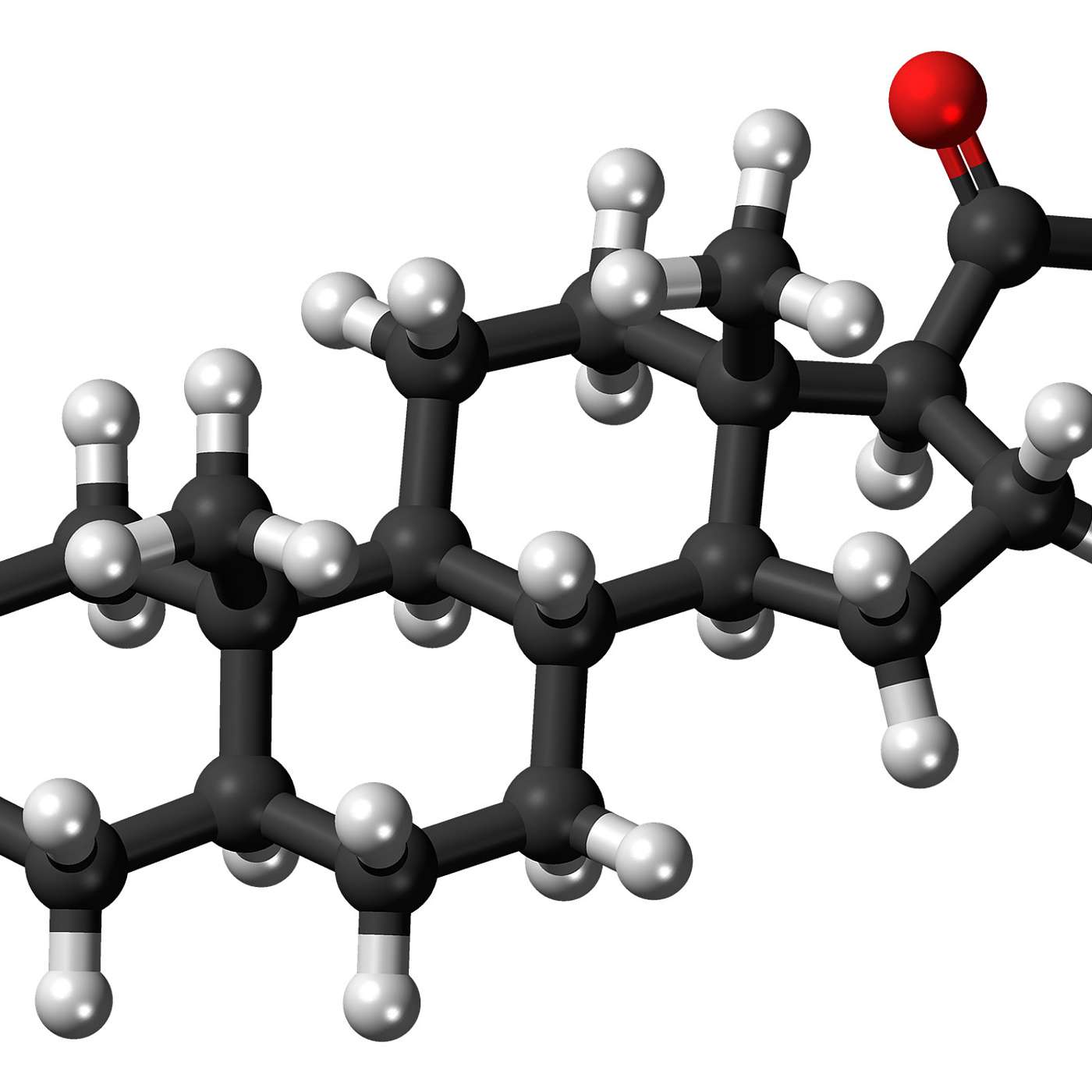 Heart to Heart with Anna