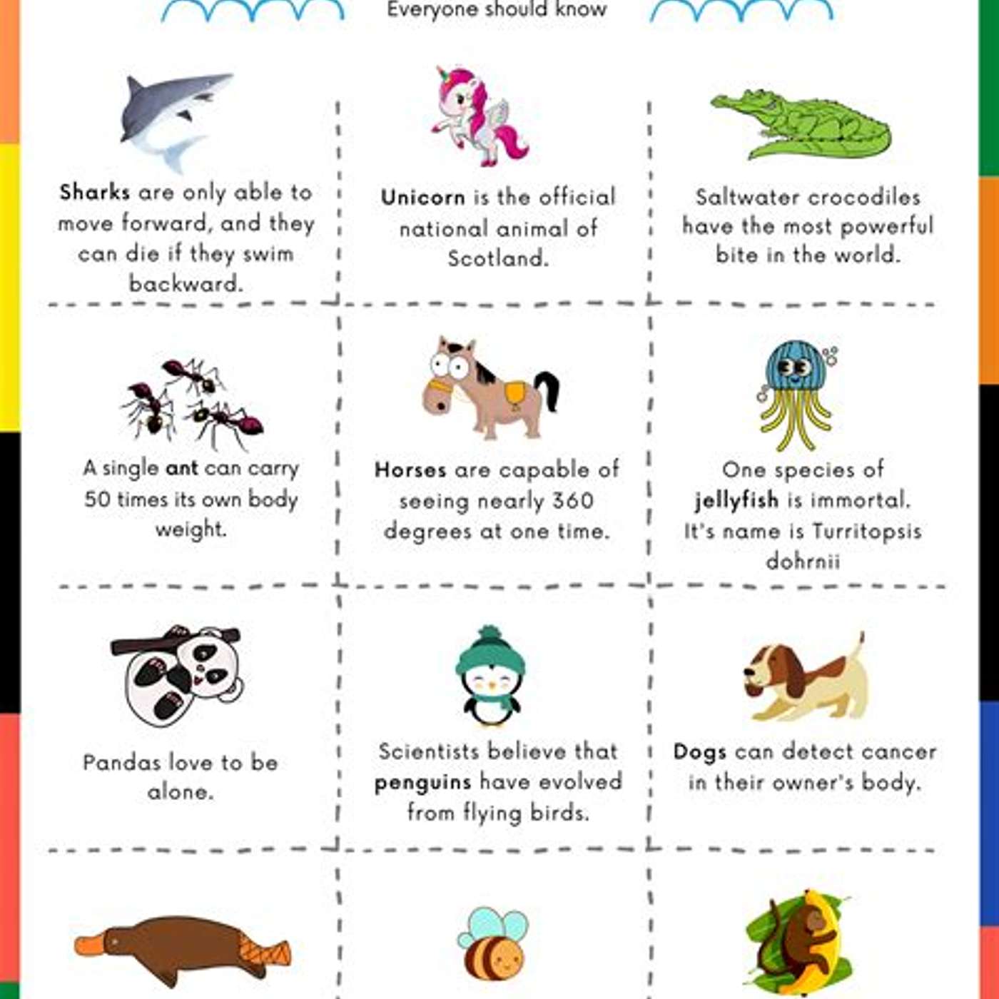 FUN ANIMAL FACTS