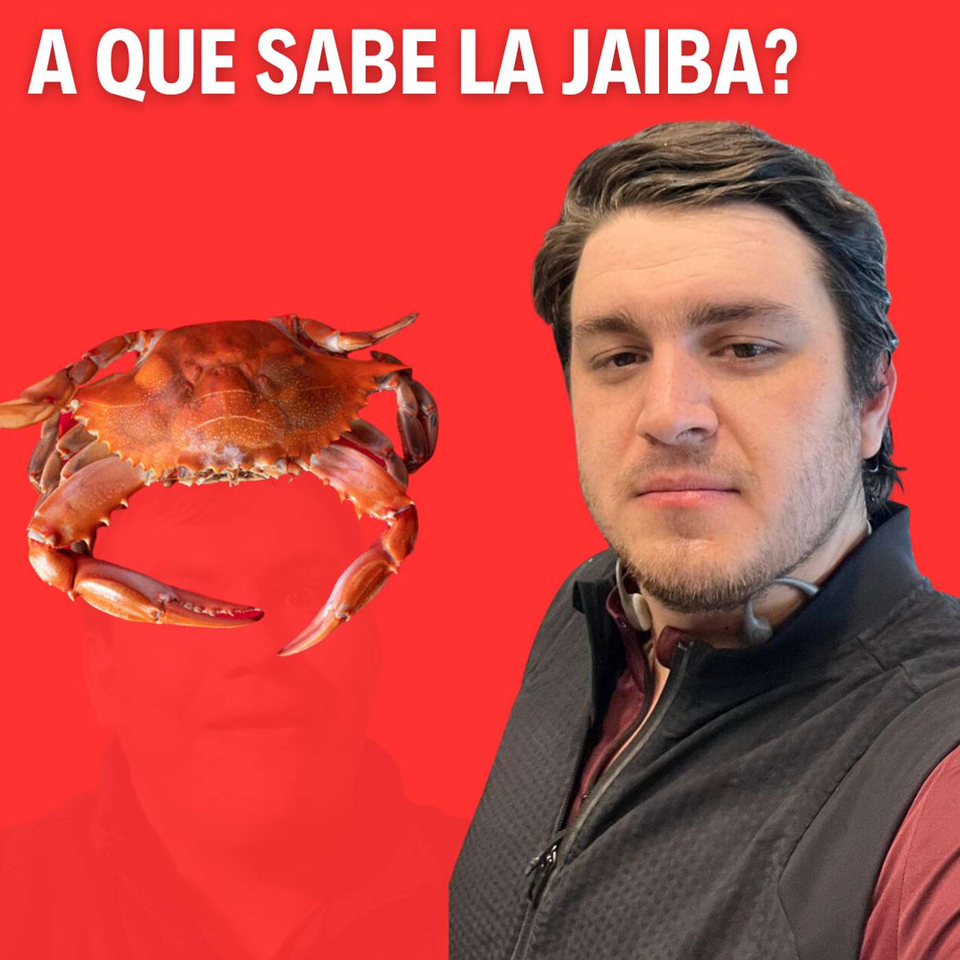 Los Bilingues