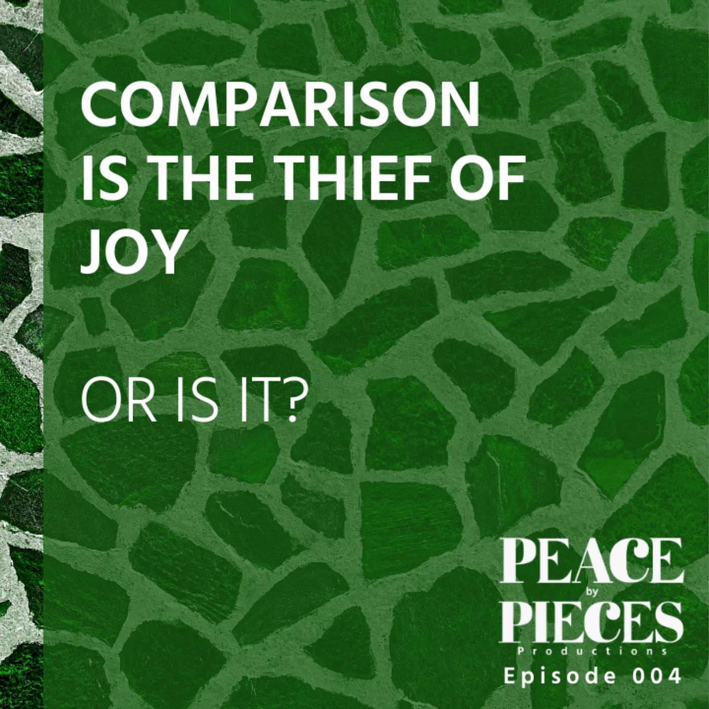 Ep004- Don't Rob Yourself of THIS Self Development Opportunity // Comparison is NOT the Thief of Joy