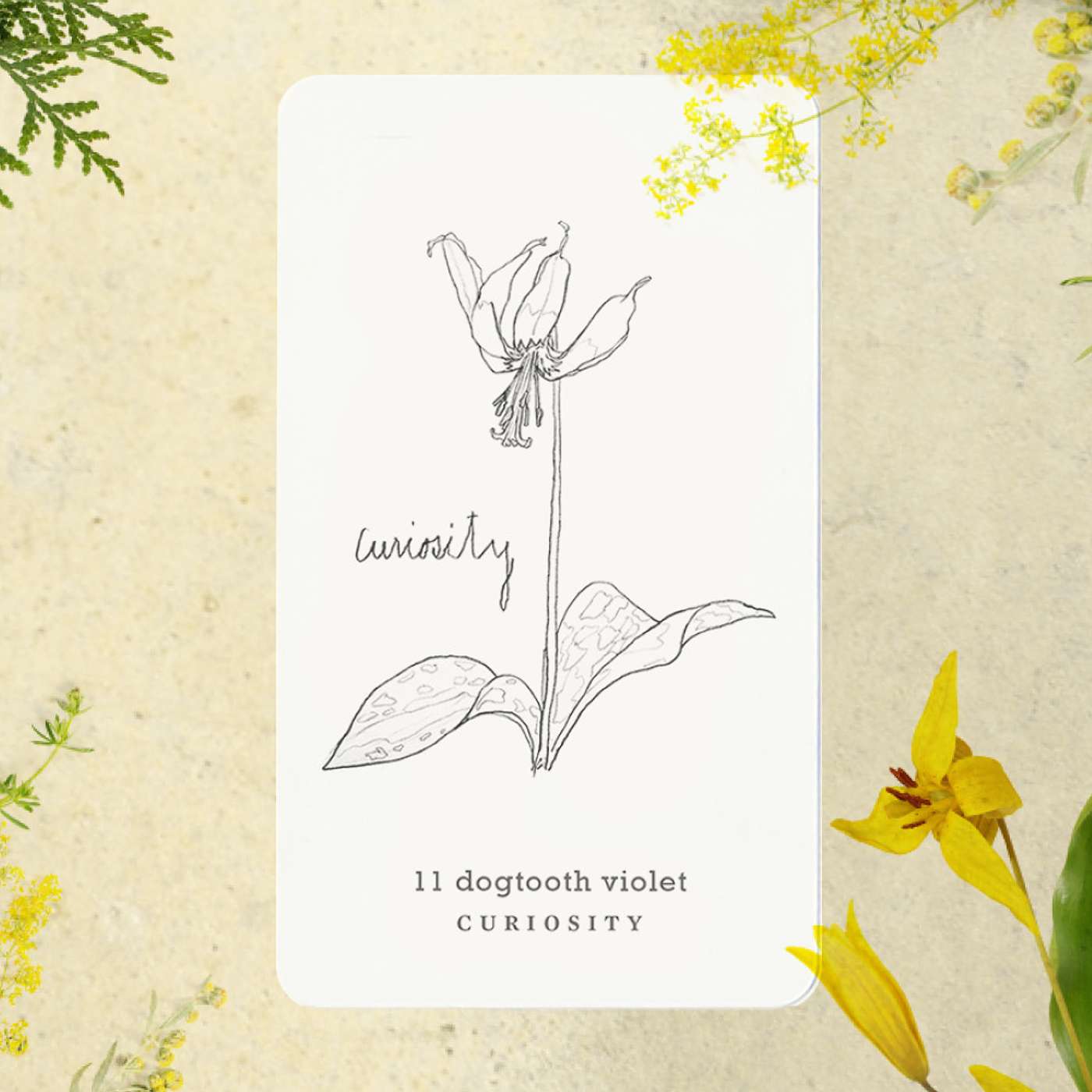 Gratitude Blooming Podcast