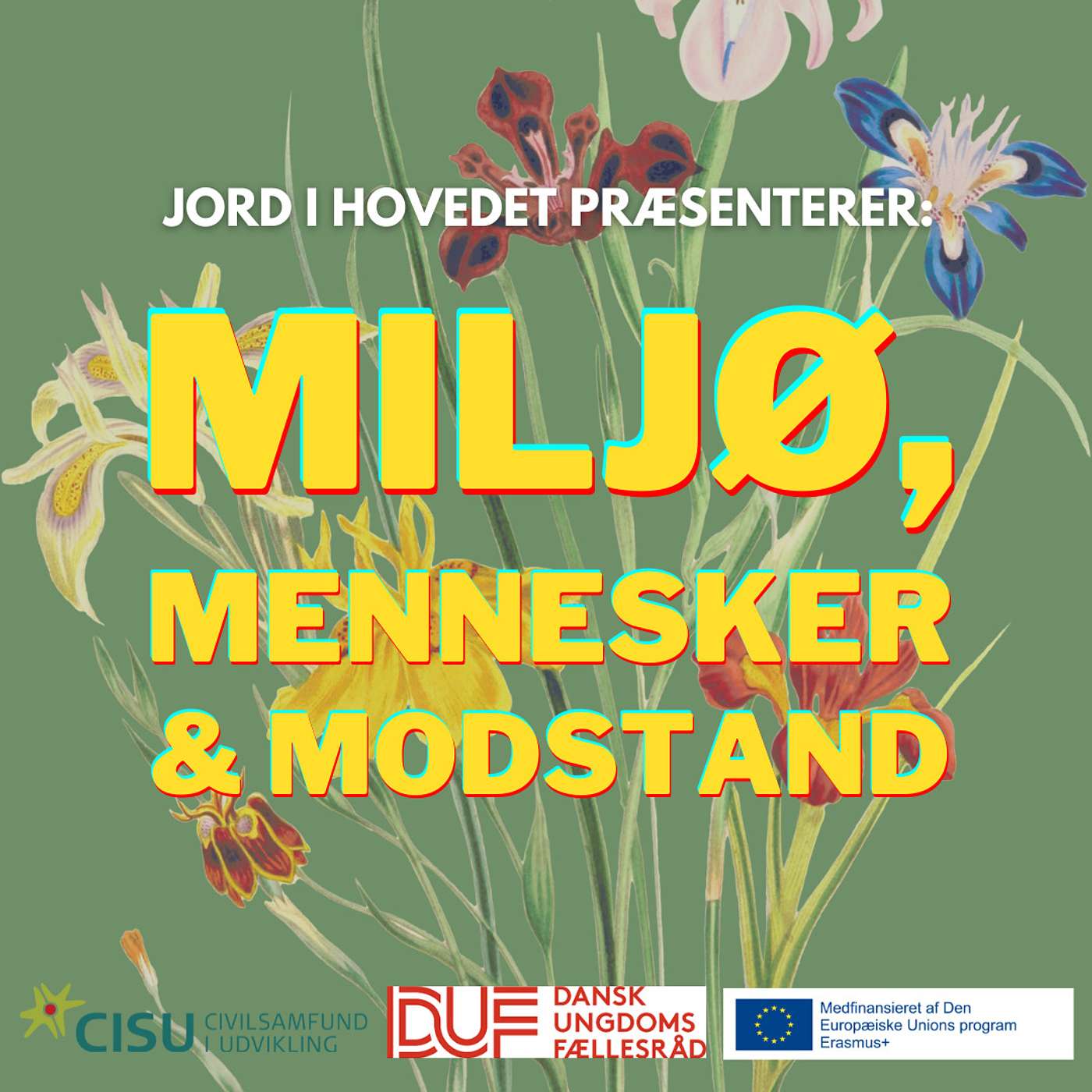 Jord i Hovedet