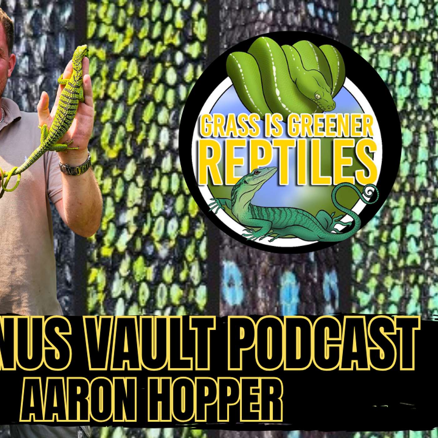 Keeping Tree Monitors Outside In Australia | Aaron Hopper Of Grass Is Greener | Varanus Vault Live