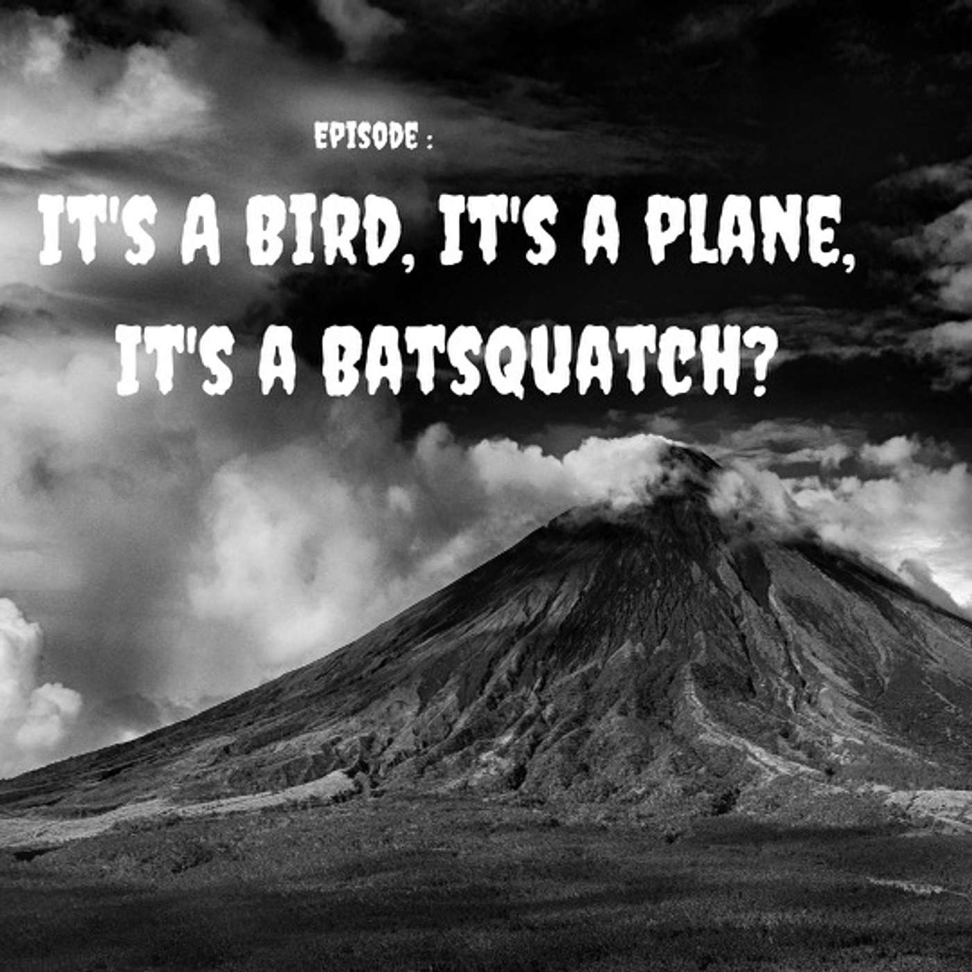 Batsquatch: It's a Bird! It's a Plane! It's a ...SQUATCH?