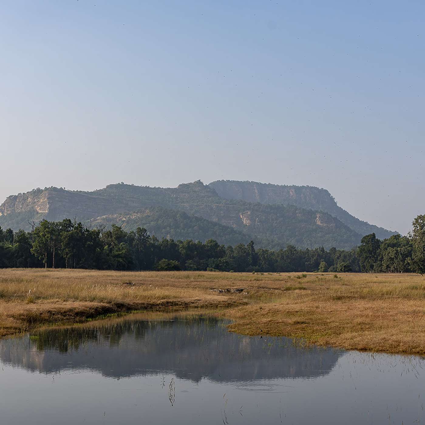 Relaxations Breathwork & Meditations by Yoga for Scleroderma