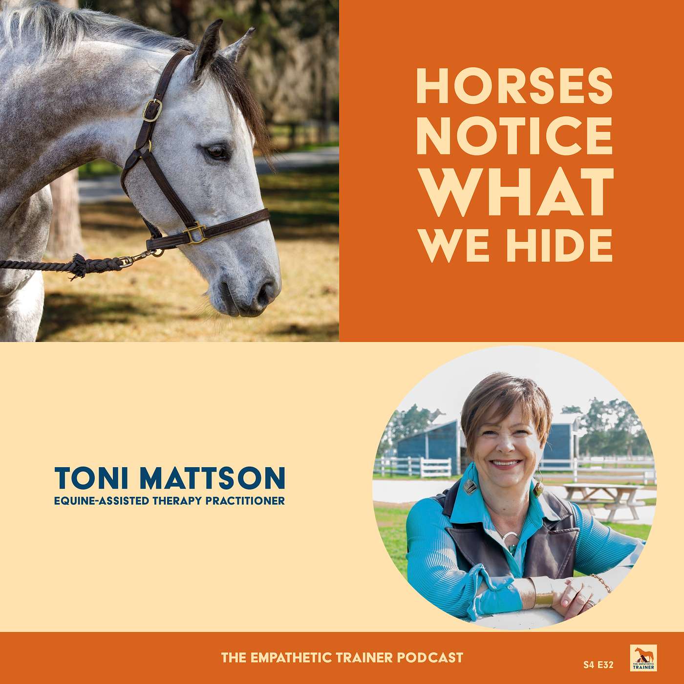 Horses, Trauma & Healing — “Horses Notice What We Hide” with Toni Mattson S4 E32