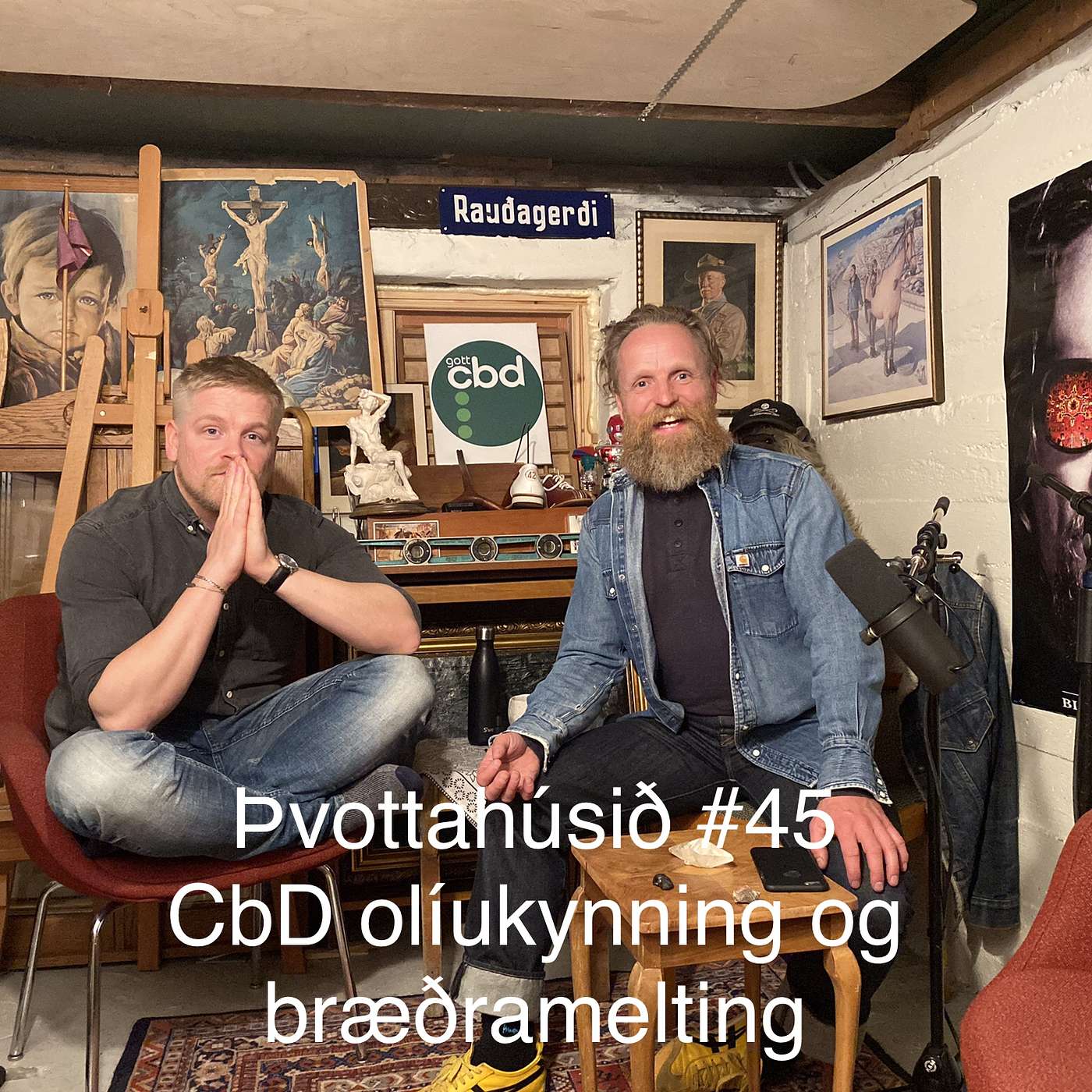 Þvottahúsið #45 CBD olíu kynning og bræðramelting.