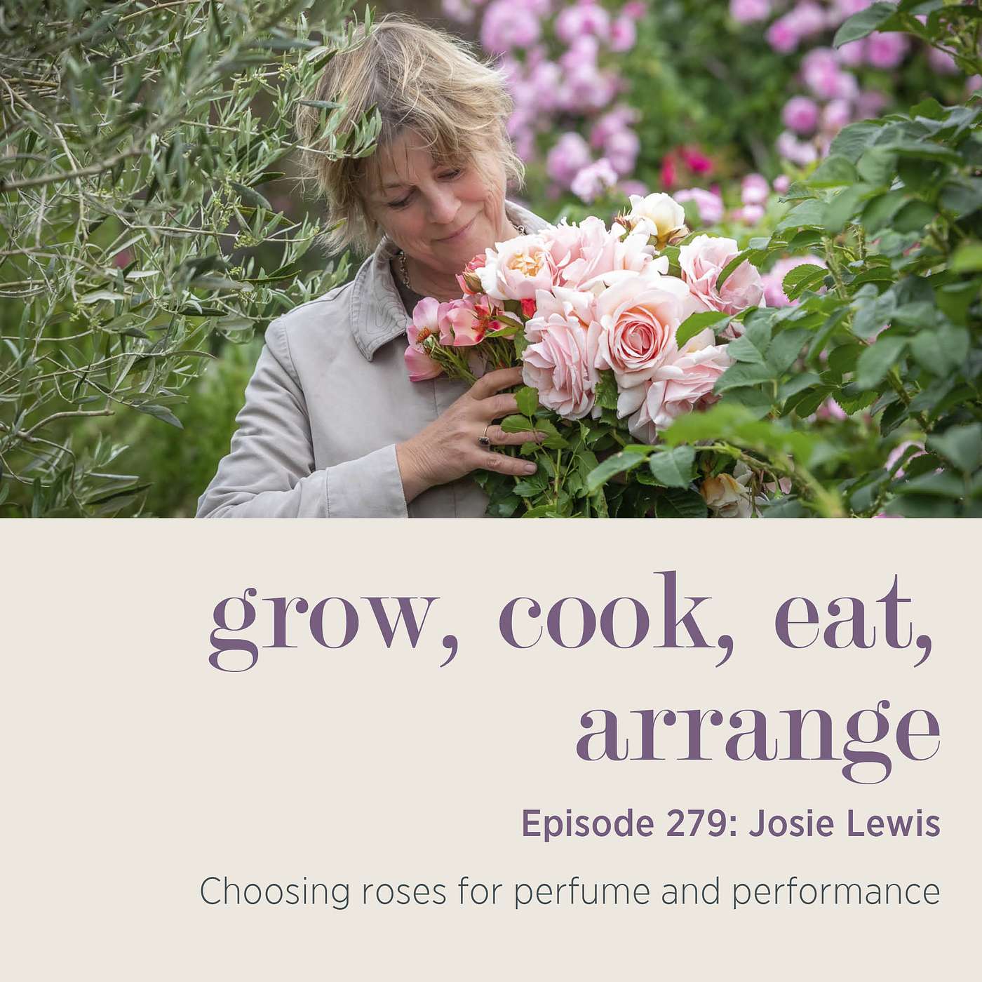 Josie Lewis: Choosing roses for perfume and performance - Episode 279