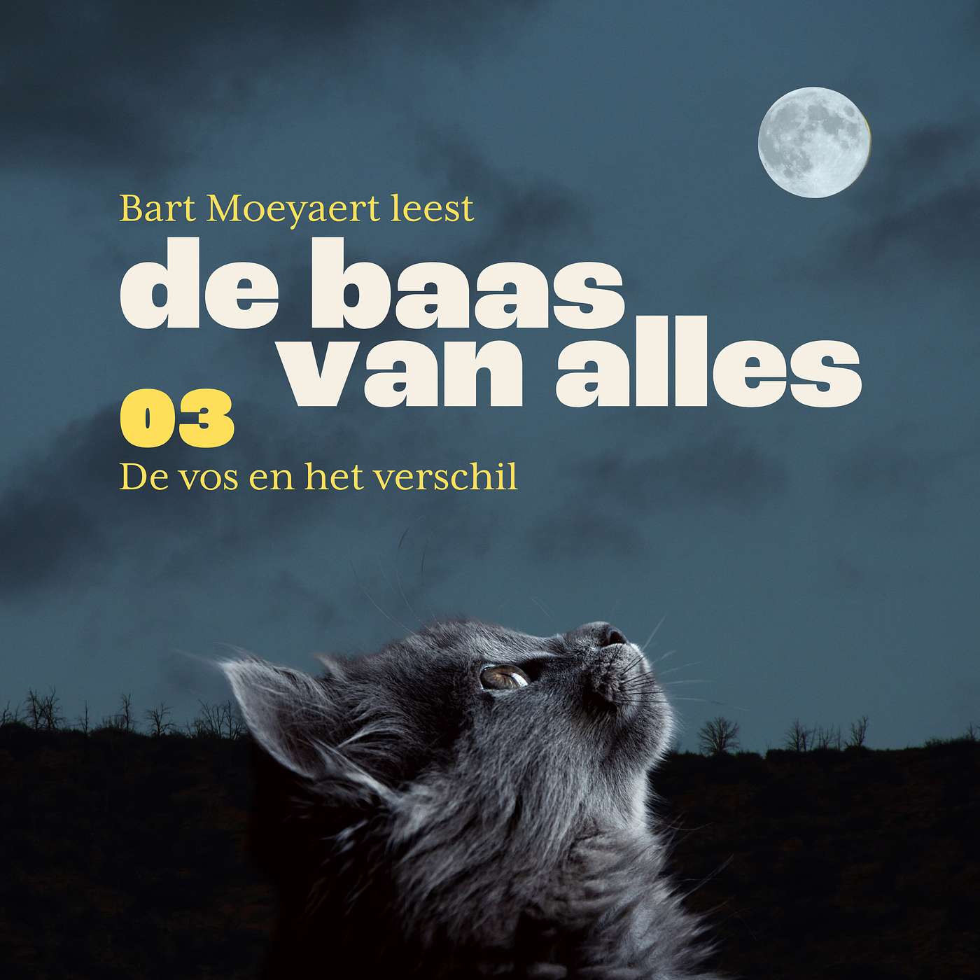Bart Moeyaert