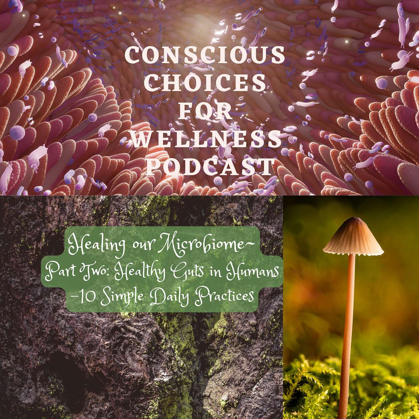 Microbiome Healing P2: 10 Simple Daily Practices episode artwork
